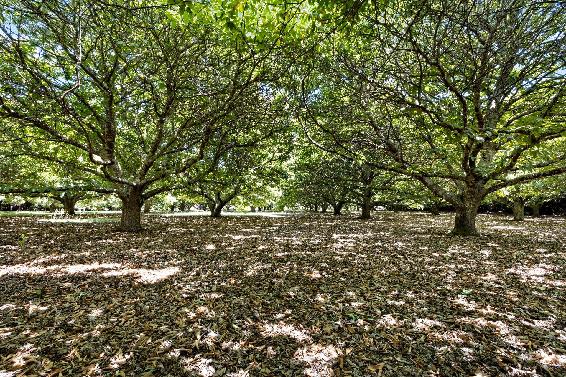 10/23 Collins Road, Glenlyon, Glenlyon - Thumbnail 7