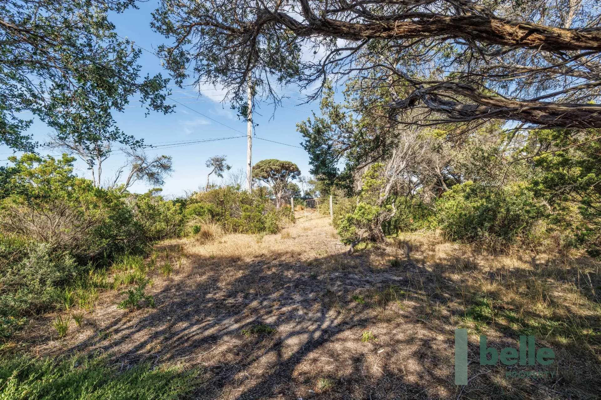 57 Dana Avenue, Blairgowrie, VIC, Blairgowrie - Thumbnail 7