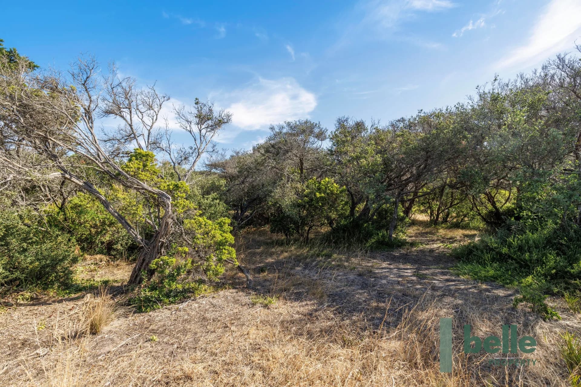 57 Dana Avenue, Blairgowrie, VIC, Blairgowrie - Thumbnail 8