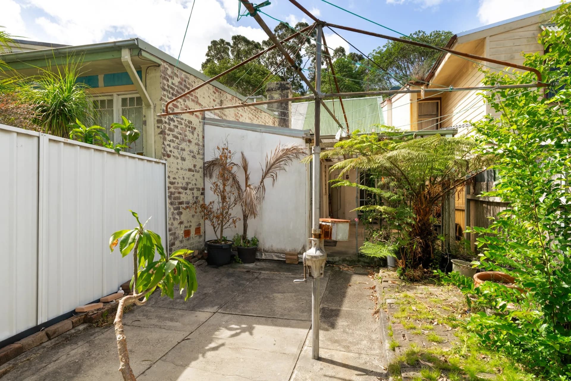 14 Raglan Street, Waterloo - Thumbnail 5