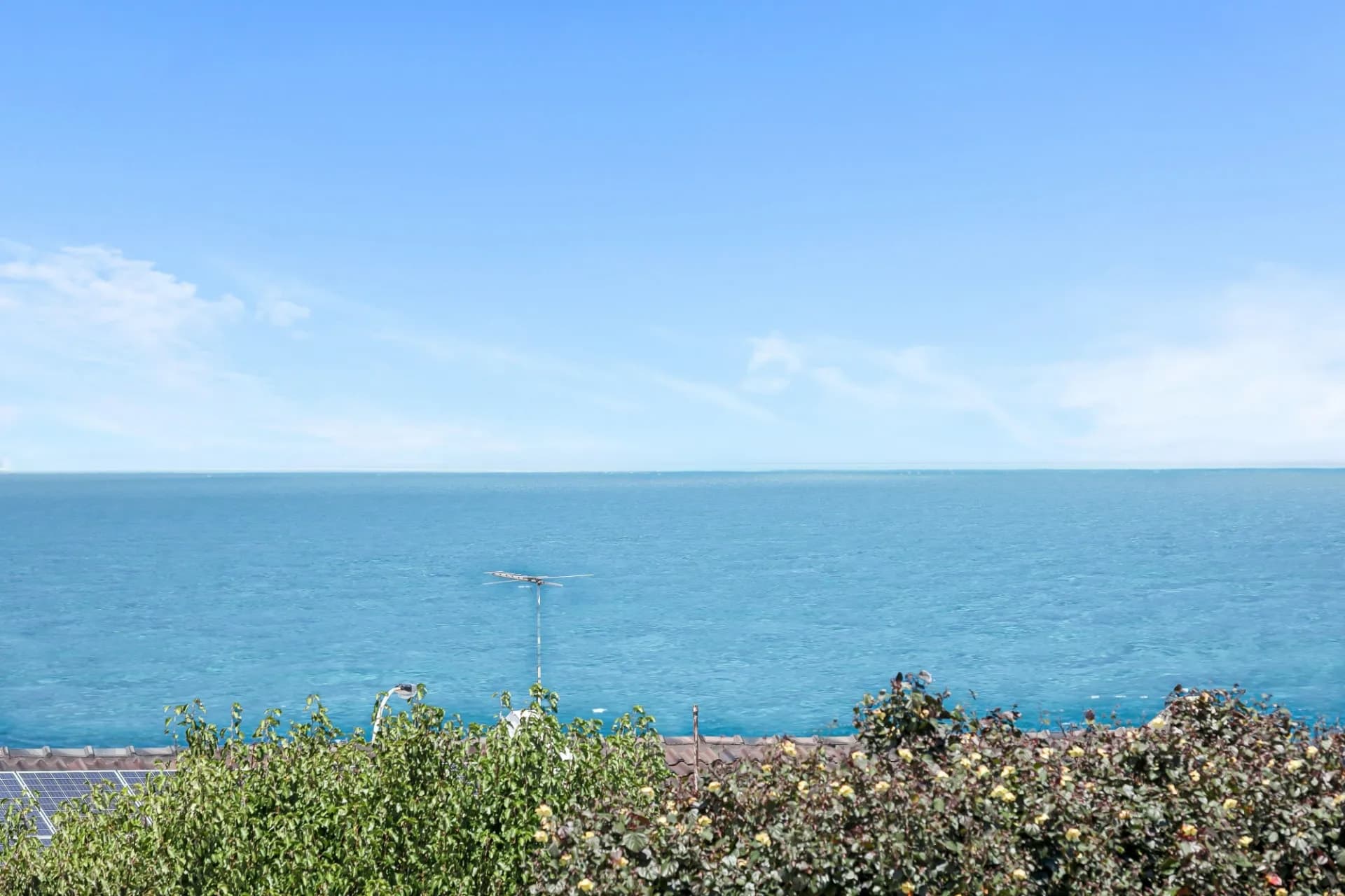 31D Curtin Avenue, Cottesloe - Thumbnail 8