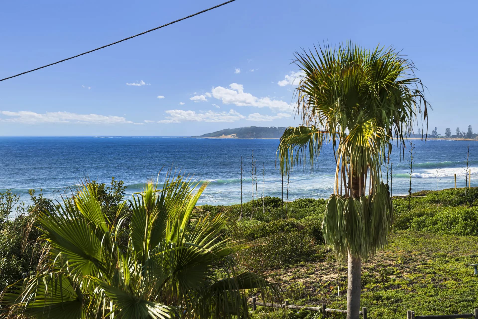 7 Waterloo Street, Narrabeen, NSW, Narrabeen - Thumbnail 5