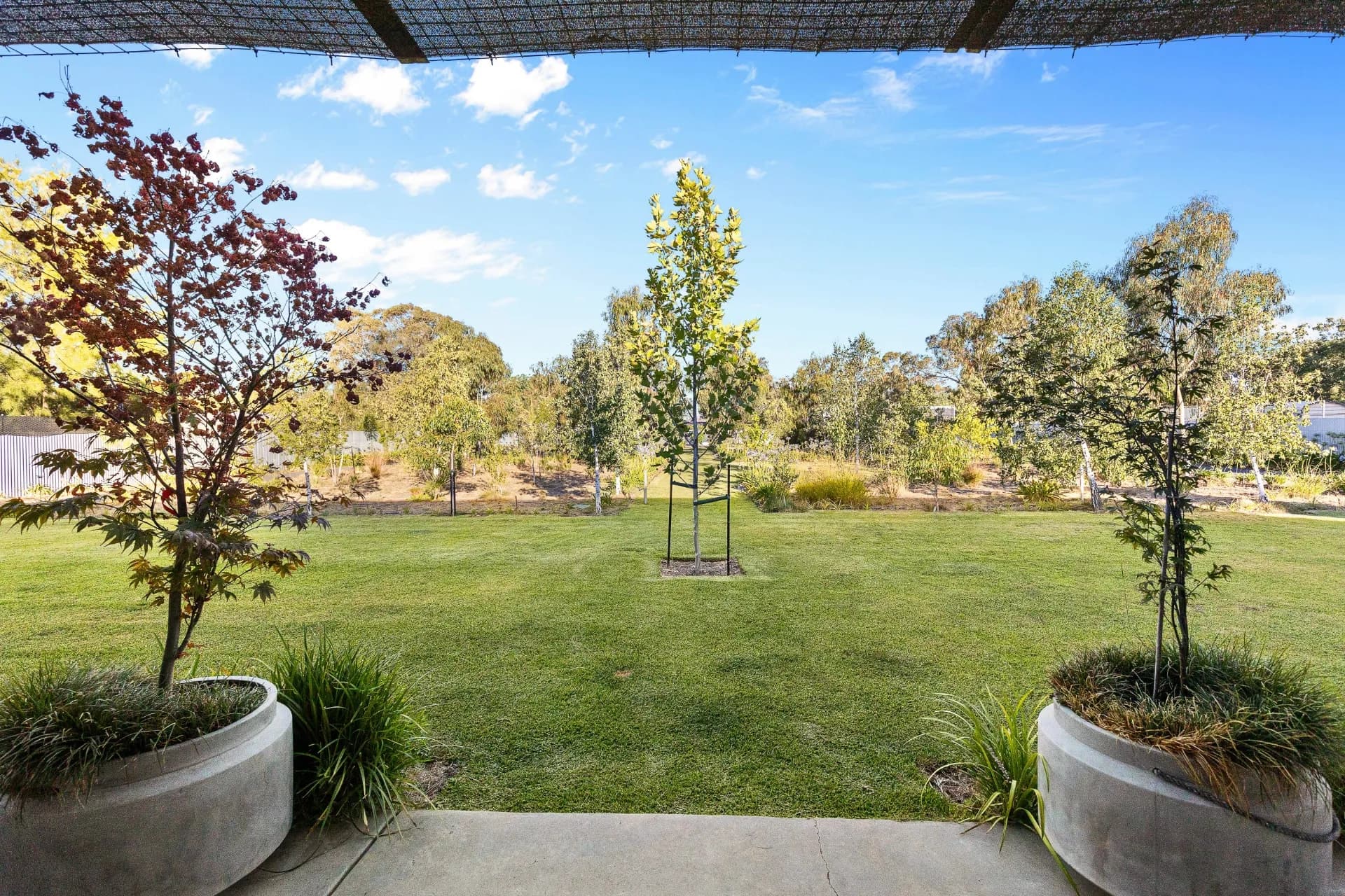 13 Emily Street, The Rock, NSW, The Rock - Thumbnail 4