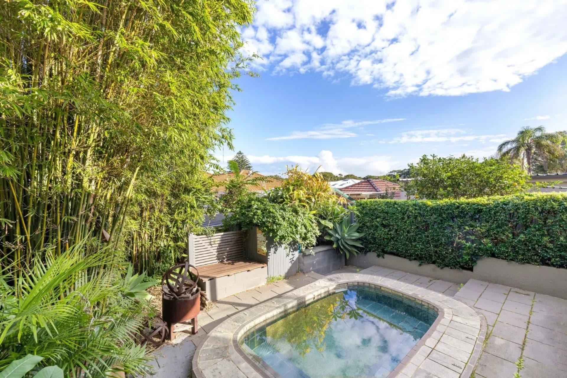 23  Kitchener Street, Maroubra - Thumbnail 4