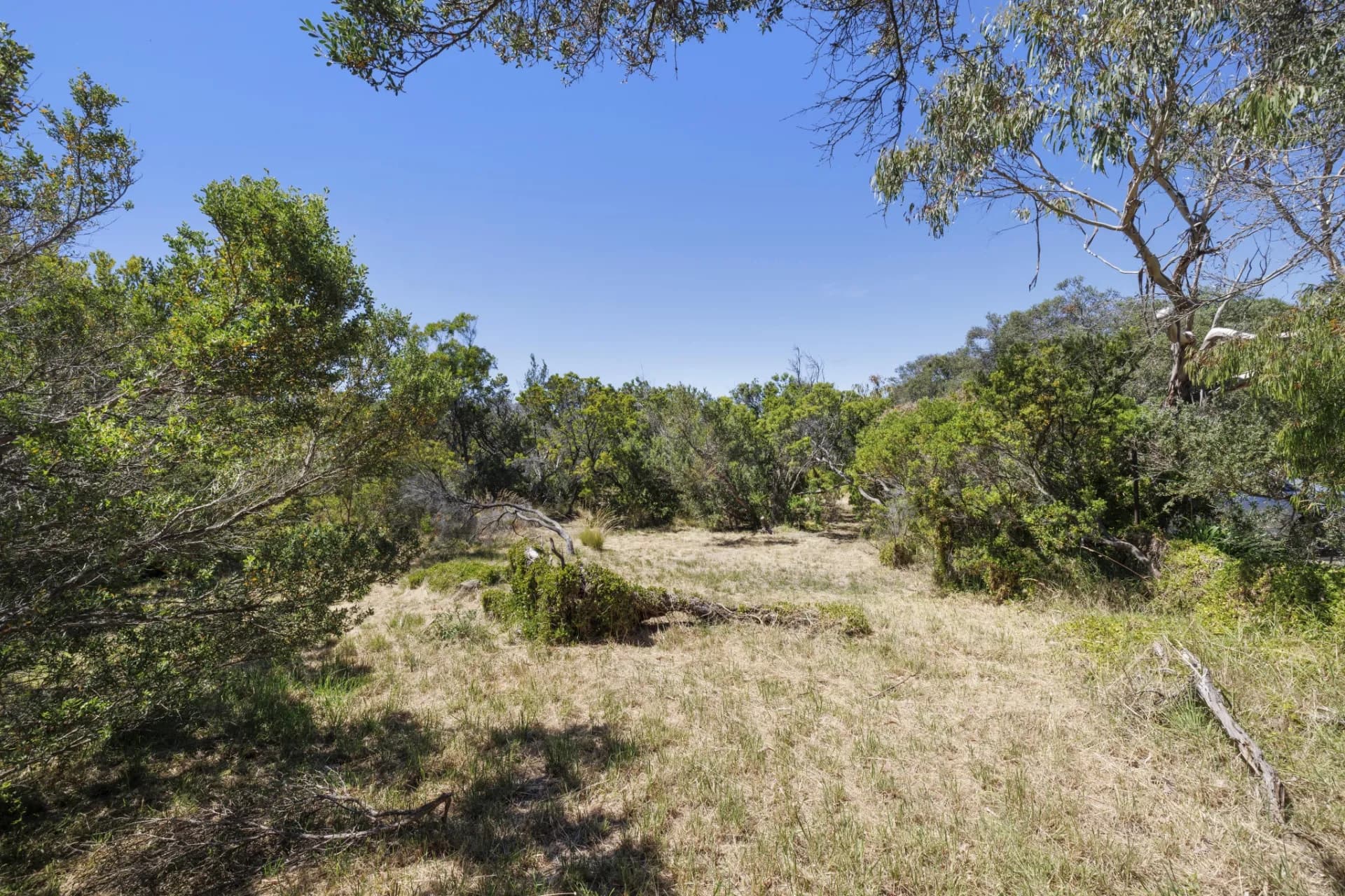 22 Brewster Road, Rye - Thumbnail 6