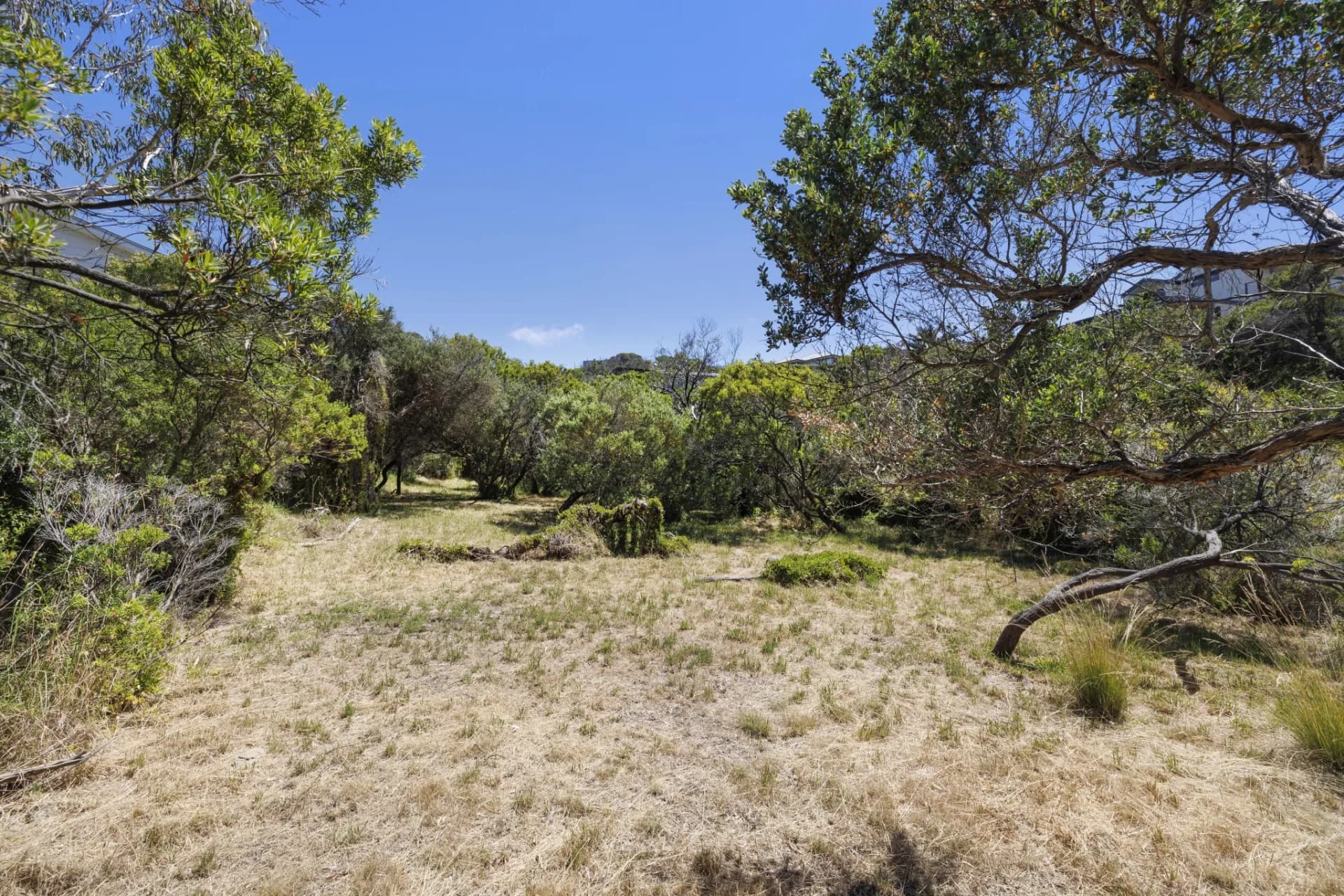 22 Brewster Road, Rye - Thumbnail 7