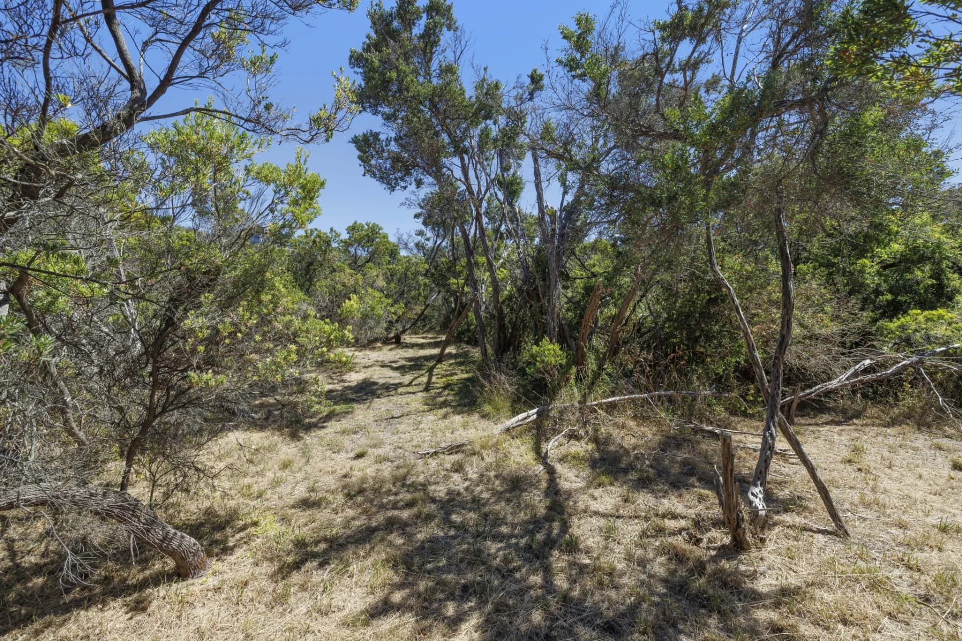 22 Brewster Road, Rye - Thumbnail 8