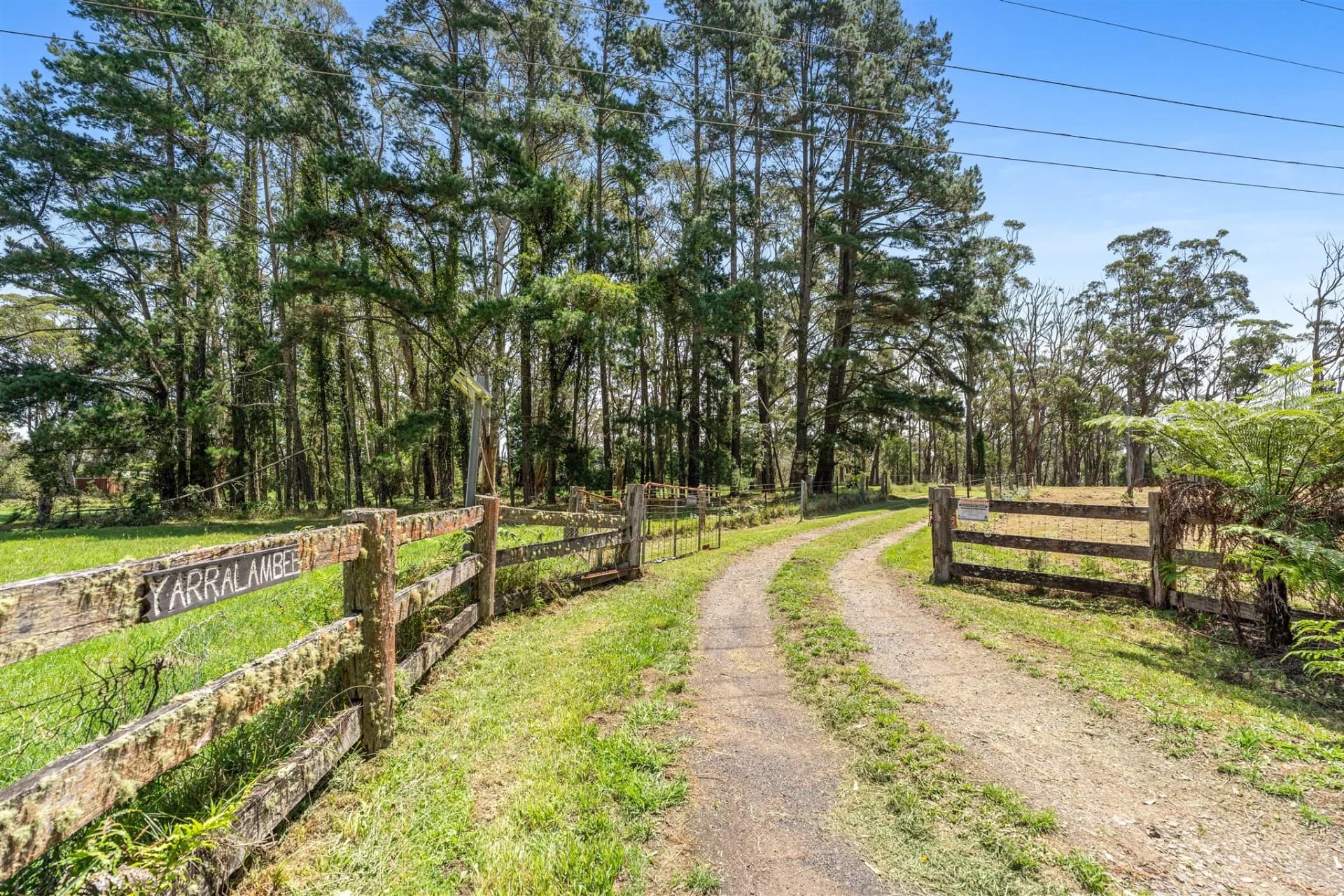 1845 Jamberoo Mountain  Road, Robertson, NSW, Robertson - Thumbnail 2