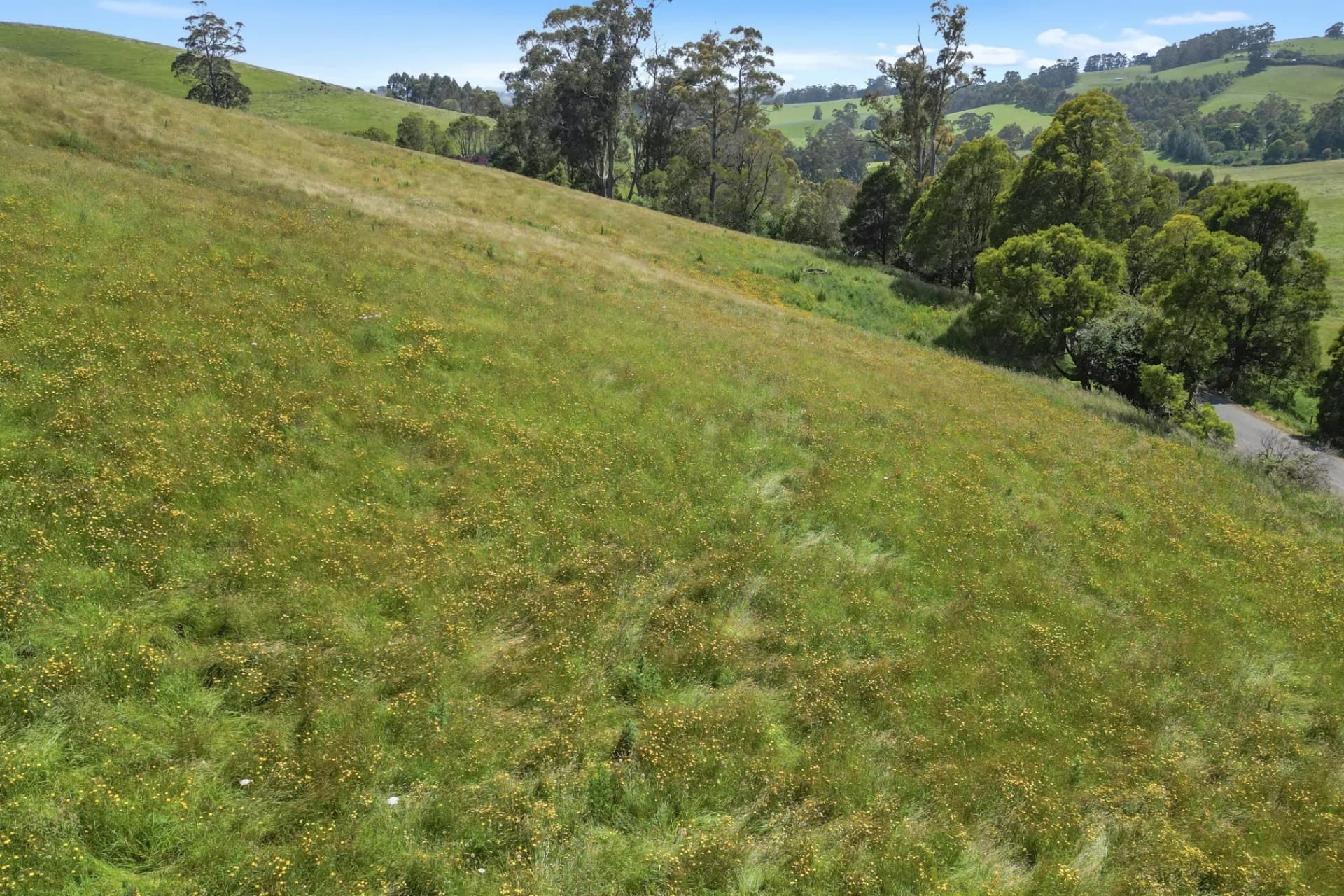 Lot 1, 2045 Lardners Track, Torwood, VIC, Torwood - Thumbnail 5