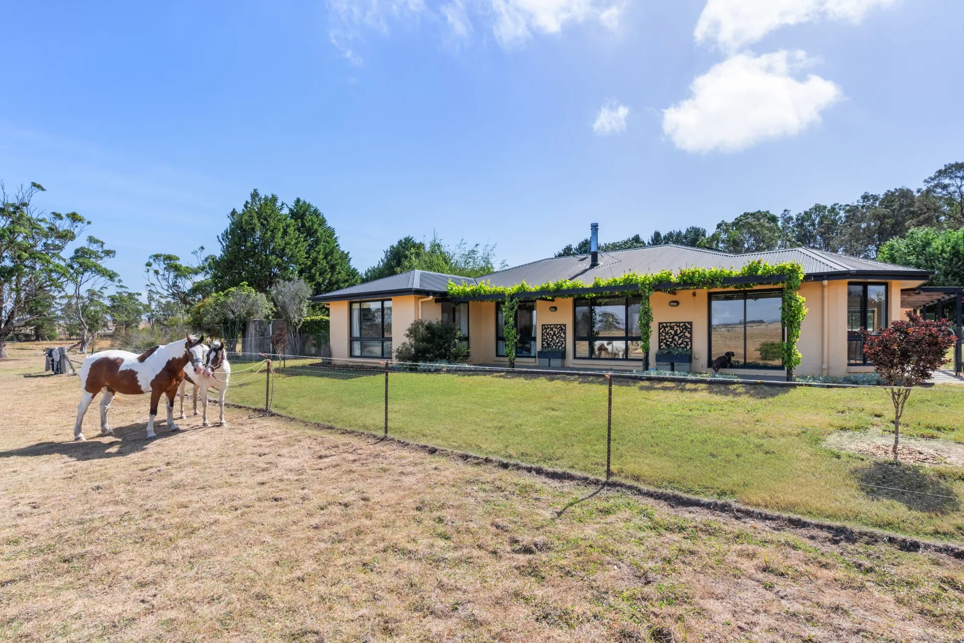 12 Cooma Road, Braidwood, NSW, Braidwood - Image 1