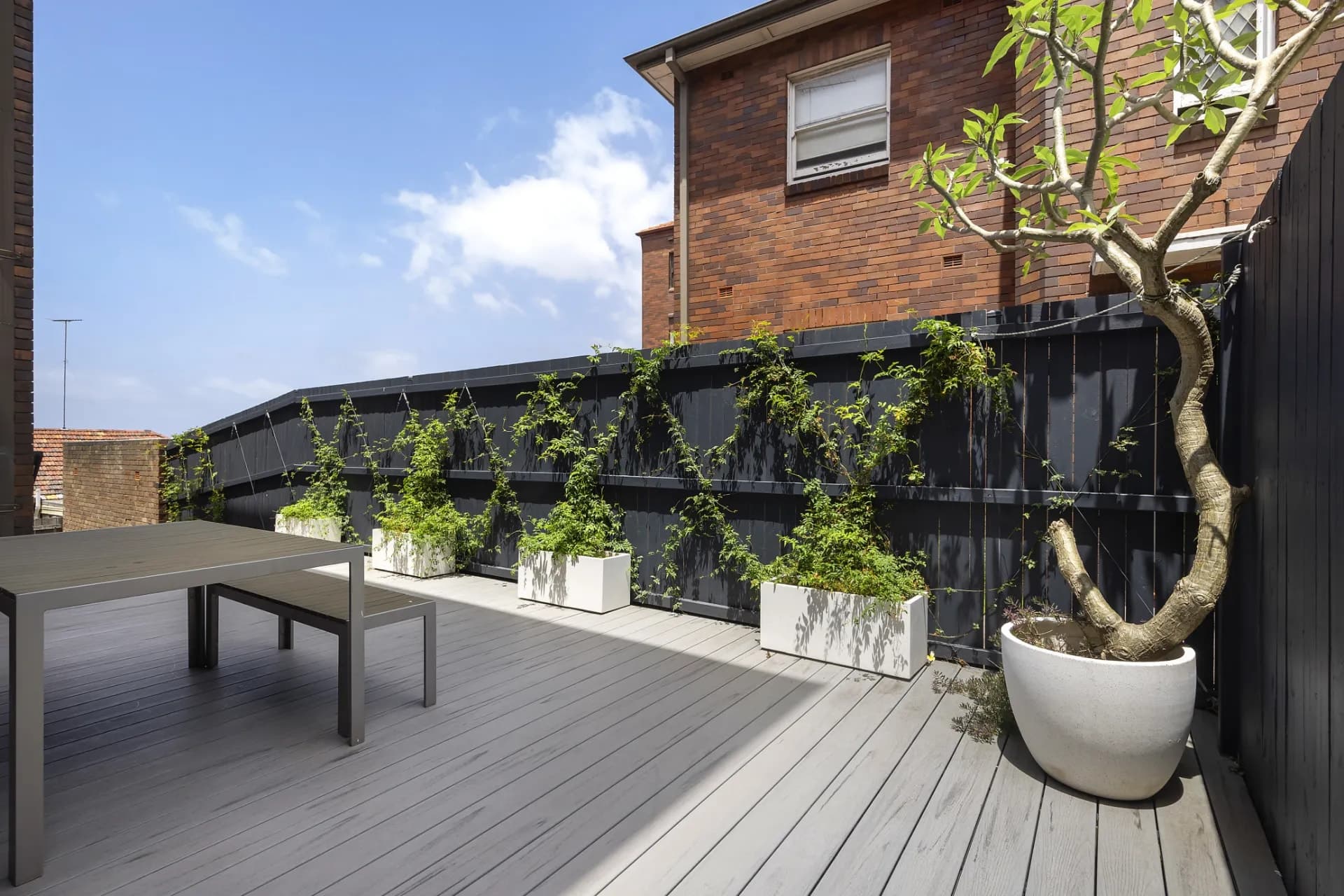 5/4 Mount Street, Coogee - Thumbnail 8