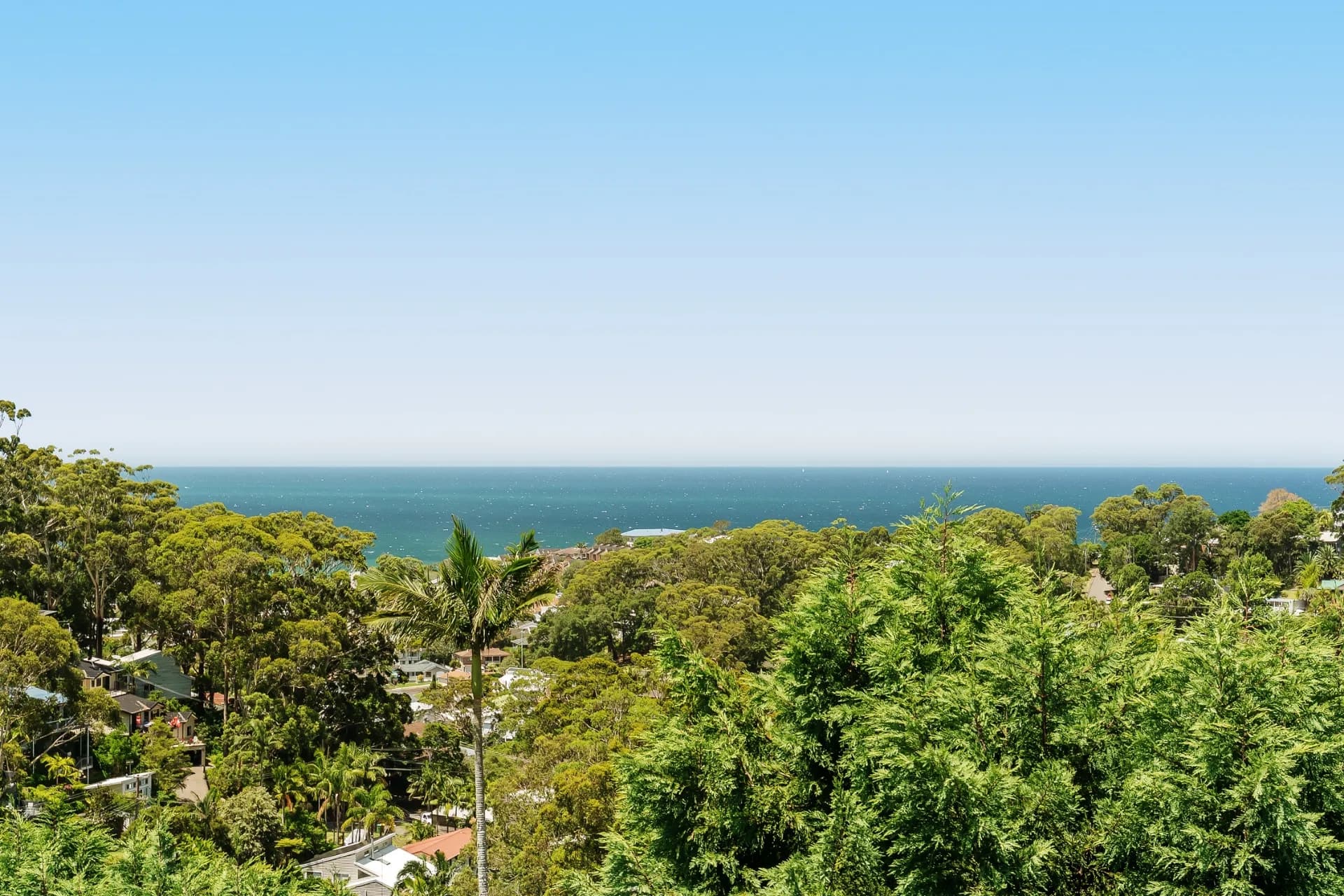 205 Scenic Highway, Terrigal, NSW, Terrigal - Thumbnail 2