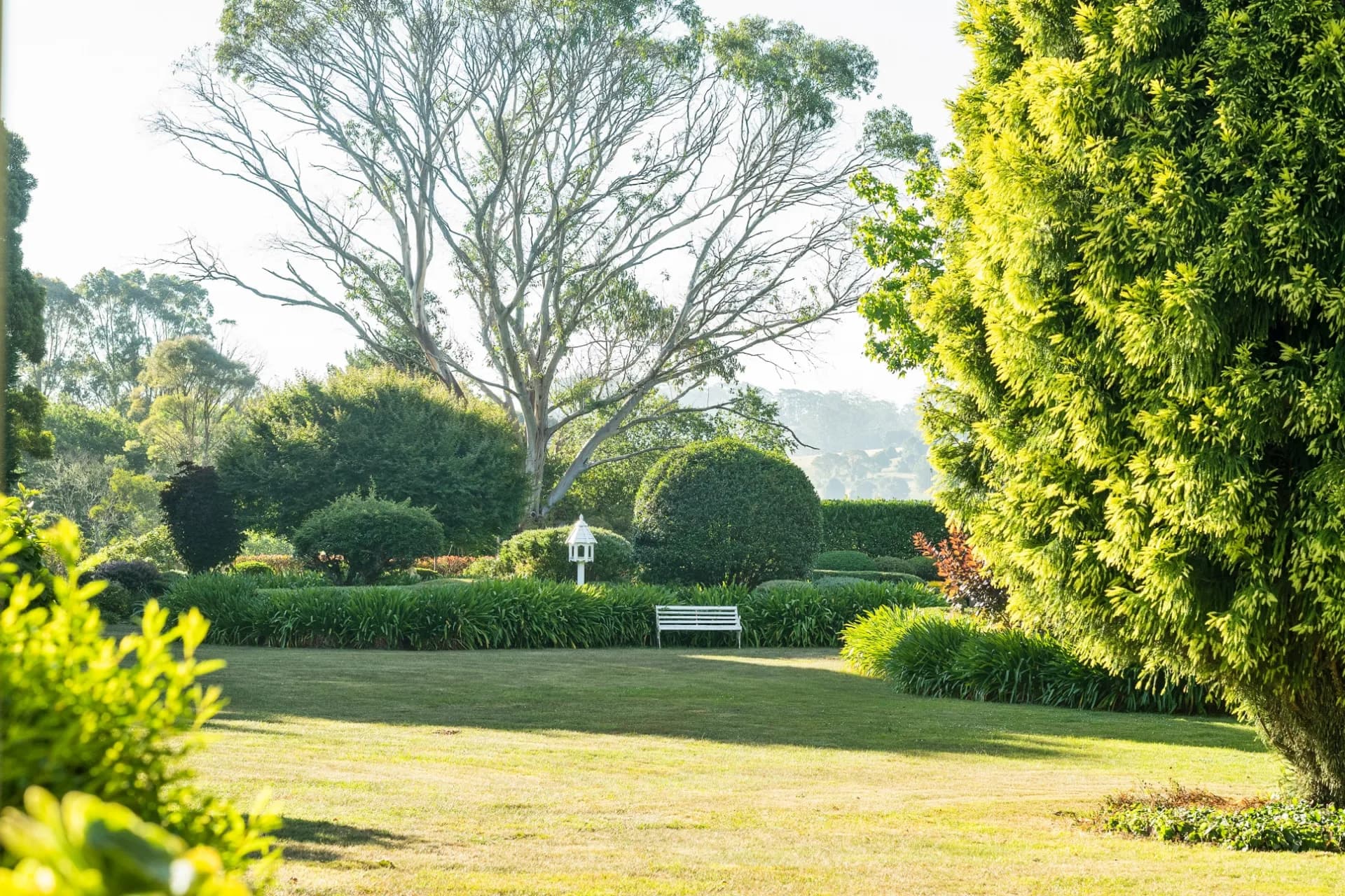 192 Pearsons Lane, Robertson, NSW, Robertson - Thumbnail 4