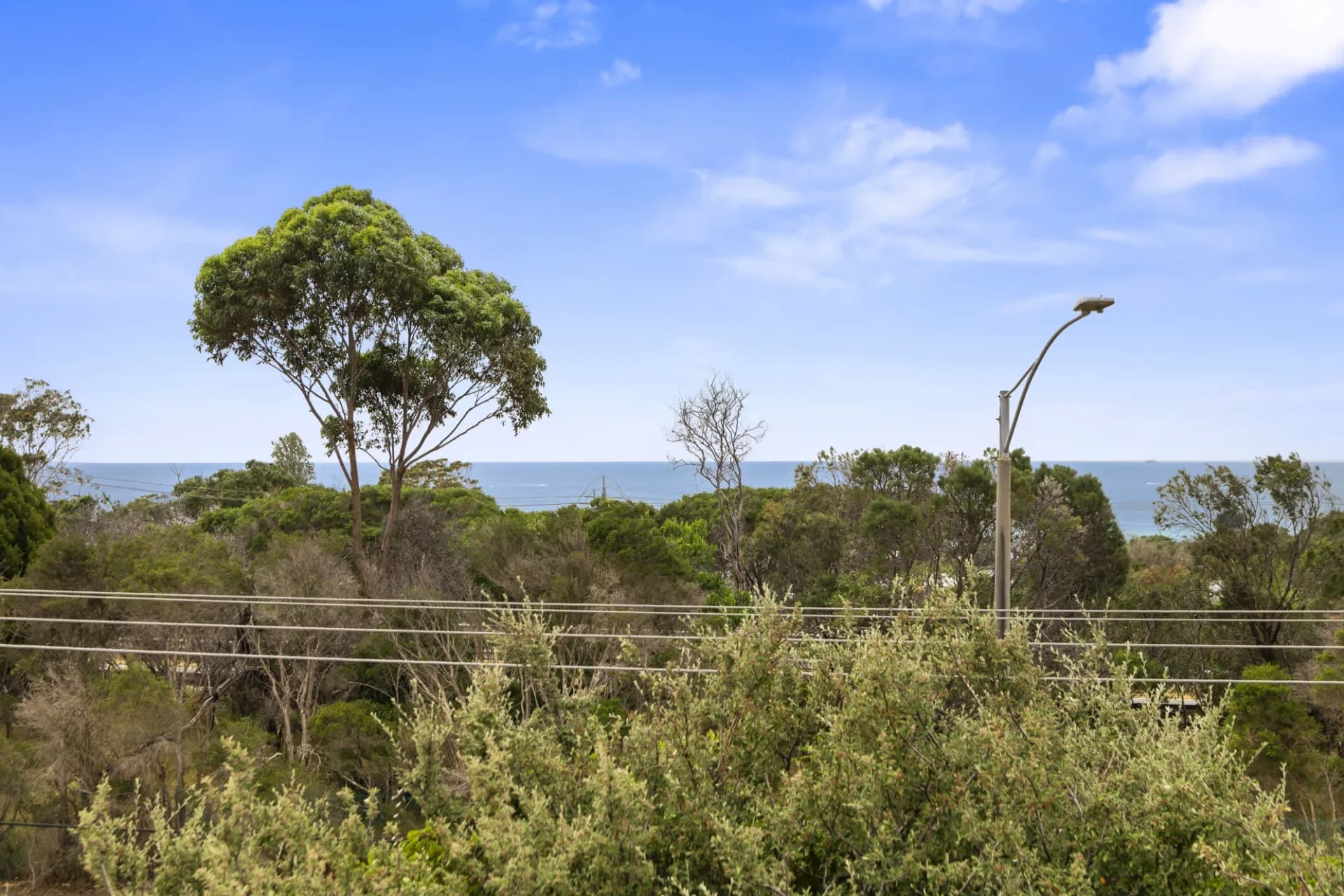 239 Palmerston Avenue, Dromana, VIC, Dromana - Thumbnail 6