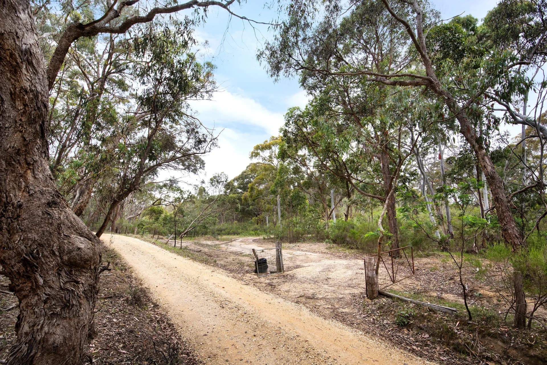 CA 5-9  White Gum Track, Fryerstown, VIC, Fryerstown - Thumbnail 5