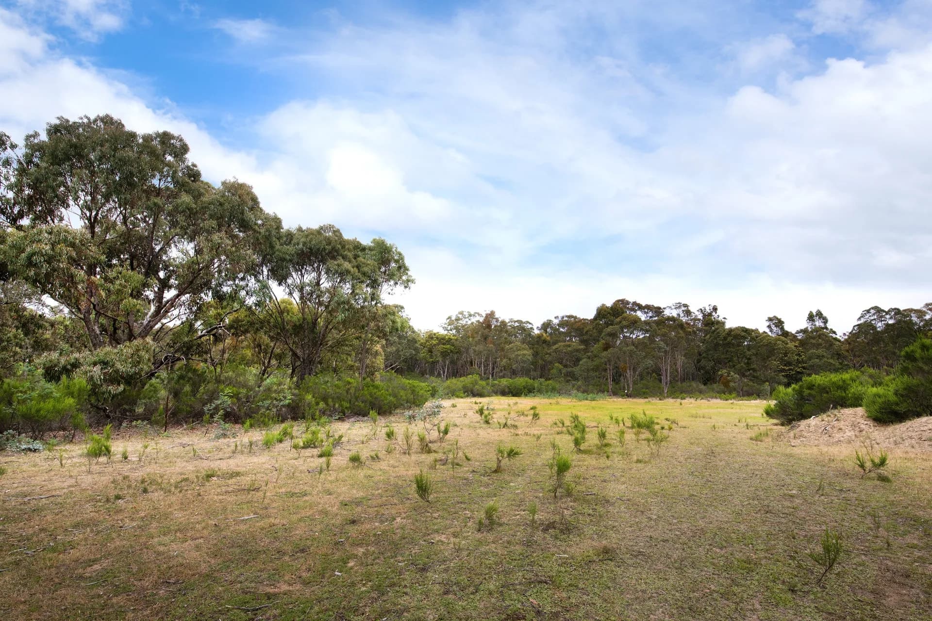 CA 5-9  White Gum Track, Fryerstown, VIC, Fryerstown - Thumbnail 6