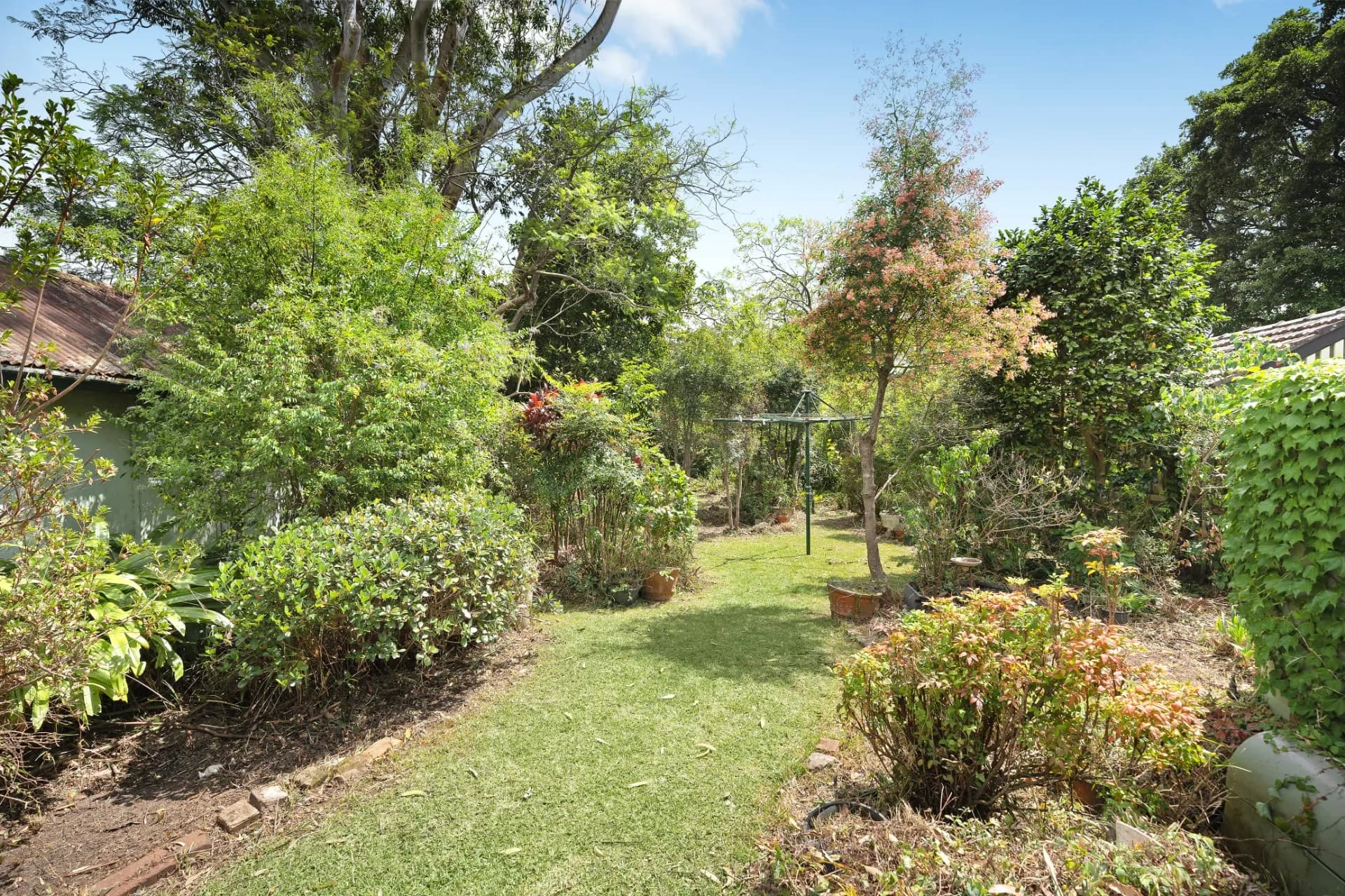 17 Taleeban Road, Riverview - Thumbnail 3