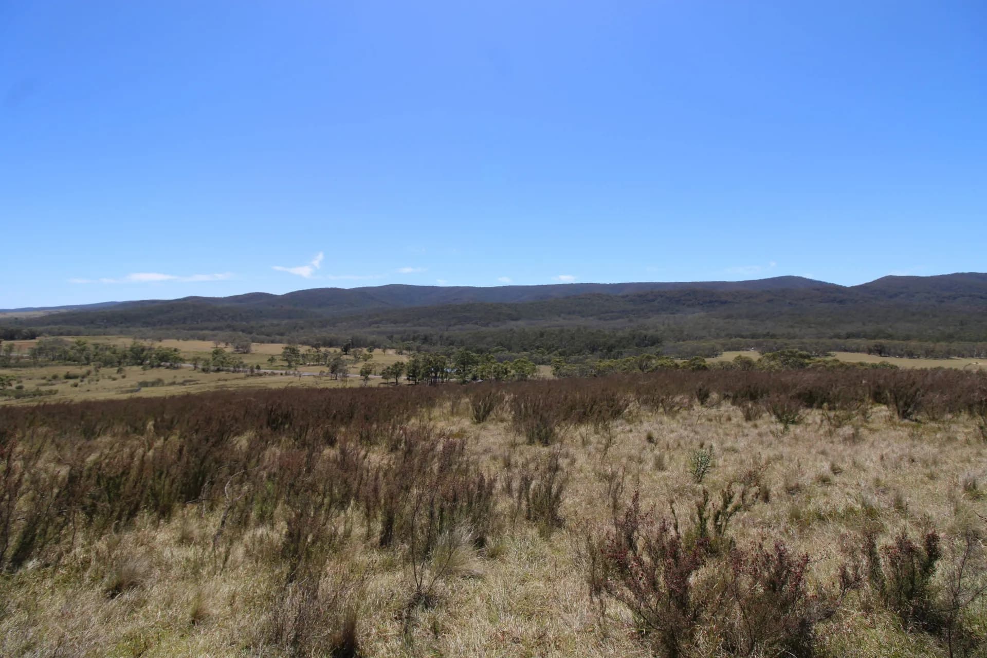 3314 Cooma Road, Braidwood, NSW, Krawarree - Thumbnail 2