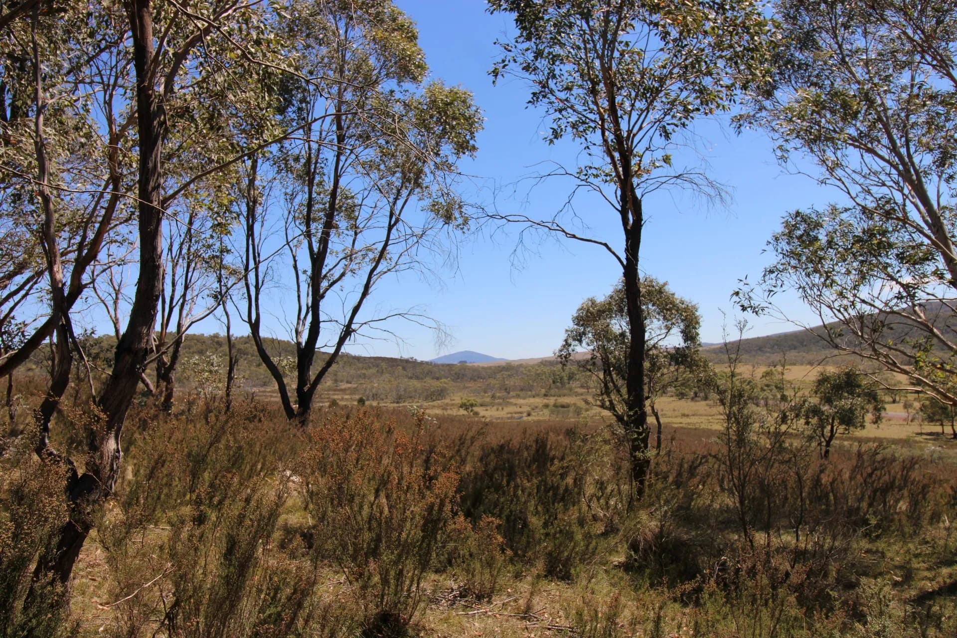 3314 Cooma Road, Braidwood, NSW, Krawarree - Thumbnail 3
