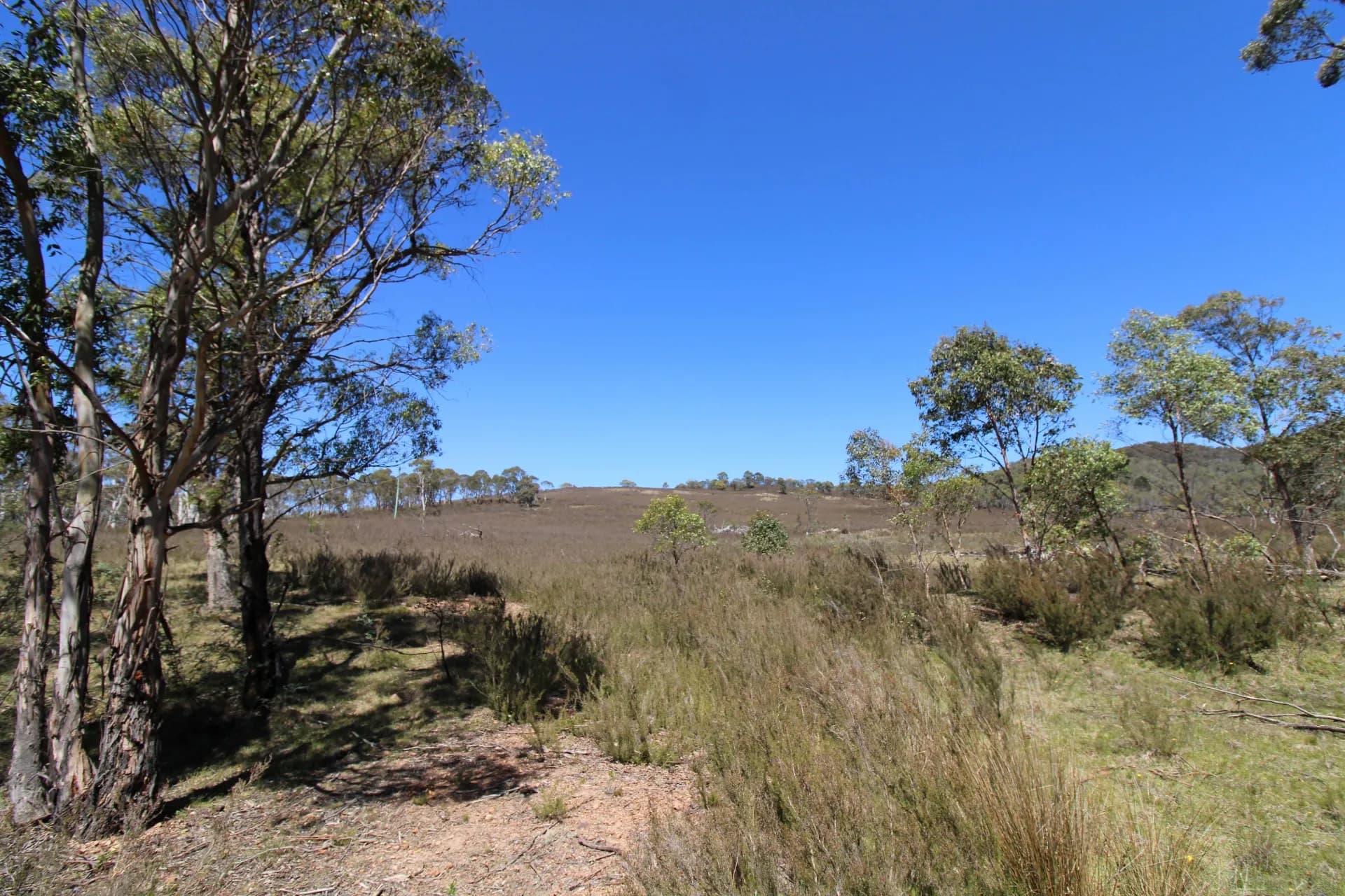 3314 Cooma Road, Braidwood, NSW, Krawarree - Thumbnail 5