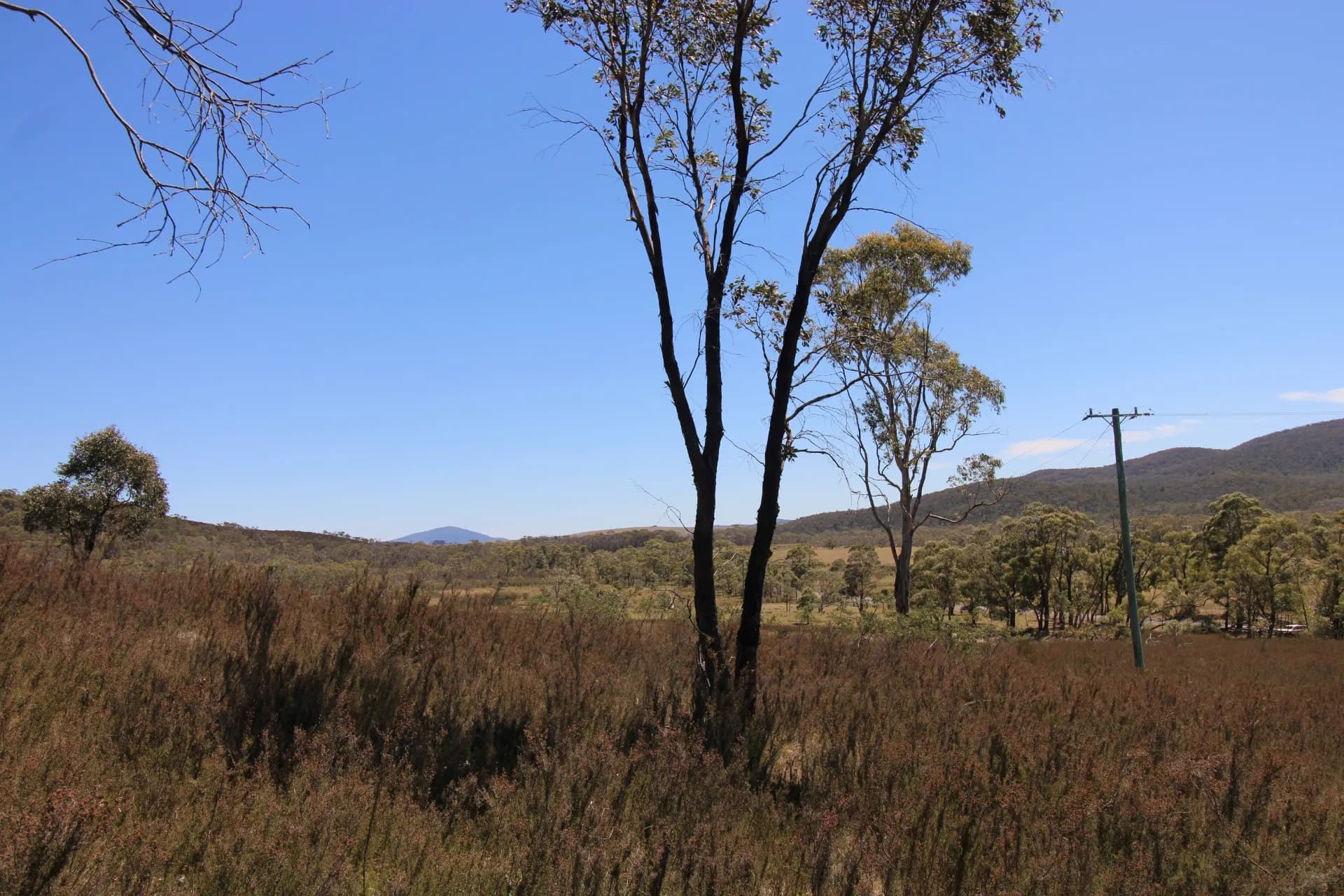 3314 Cooma Road, Braidwood, NSW, Krawarree - Thumbnail 7