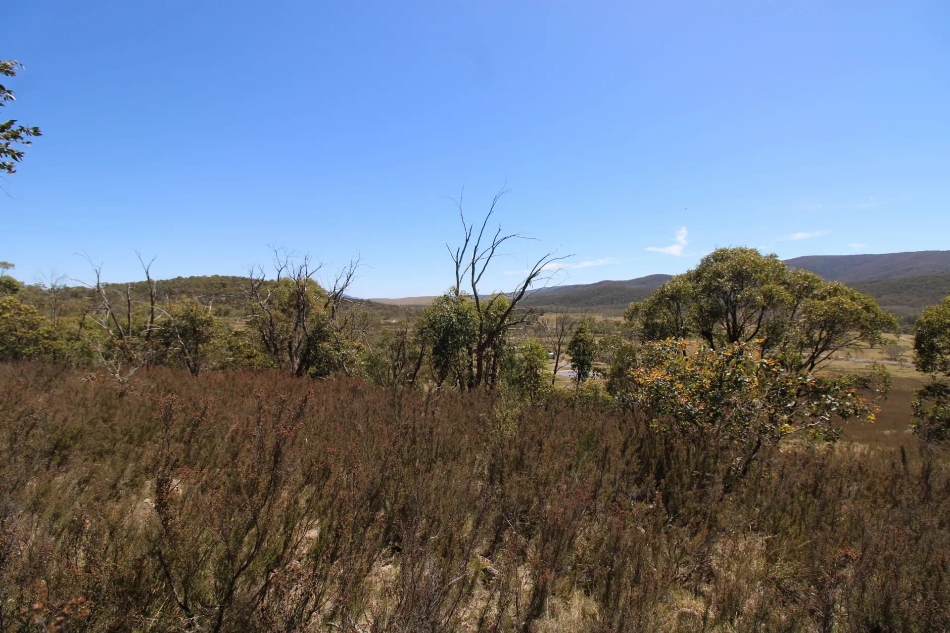 3314 Cooma Road, Braidwood, NSW, Krawarree - Thumbnail 8