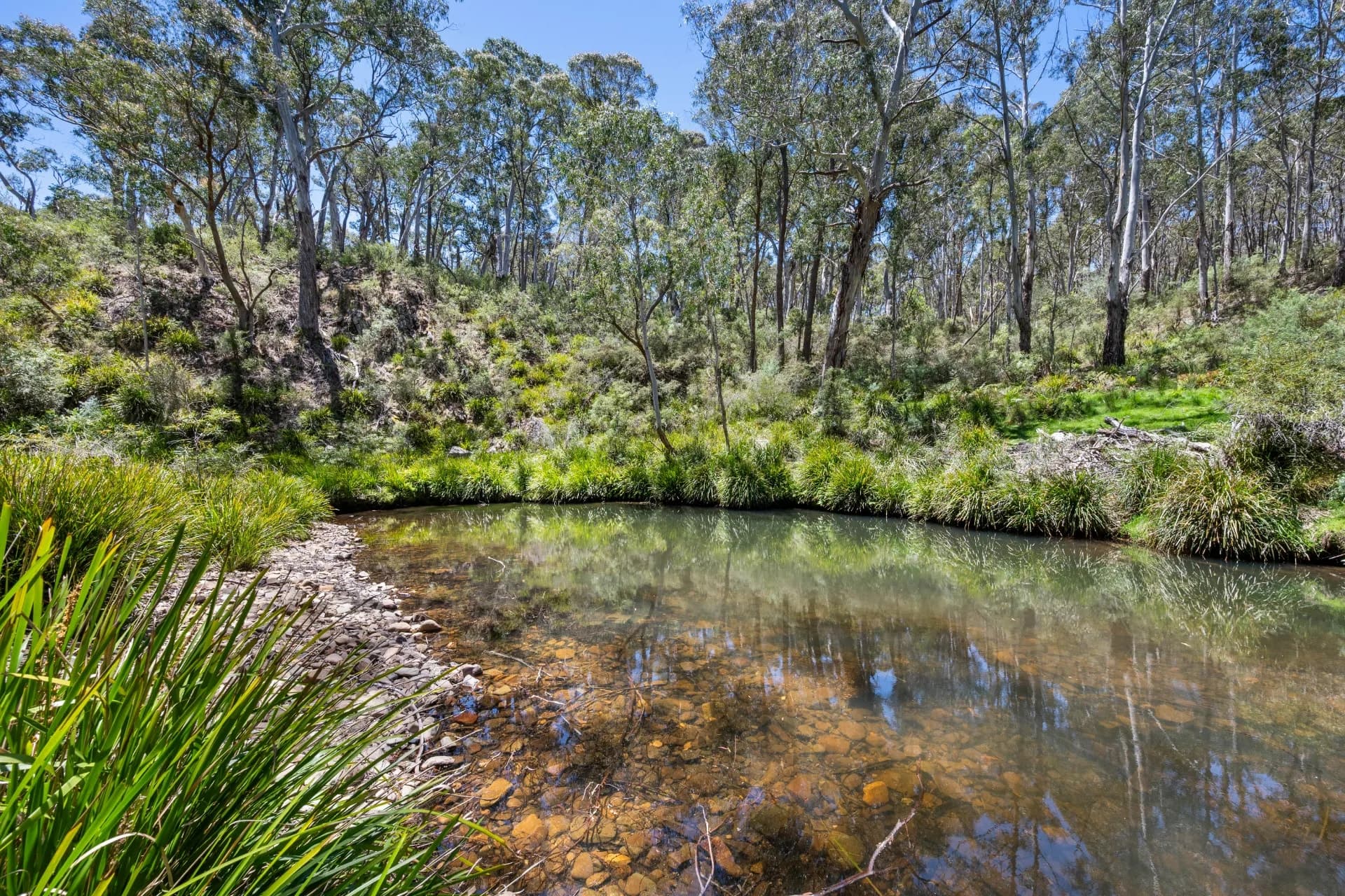 281 Charleys Forest Road, Braidwood, NSW, Mongarlowe - Thumbnail 2