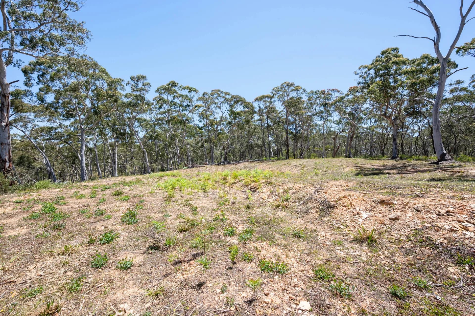 281 Charleys Forest Road, Braidwood, NSW, Mongarlowe - Thumbnail 3
