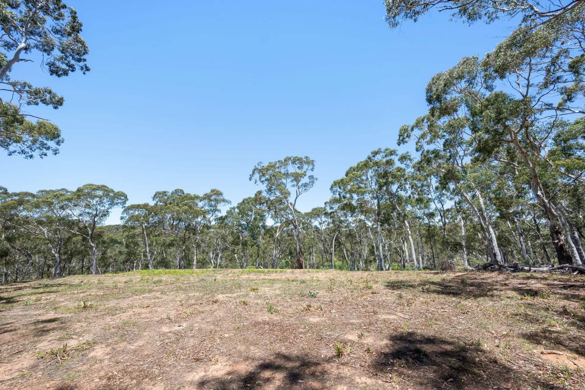 281 Charleys Forest Road, Braidwood, NSW, Mongarlowe - Thumbnail 4