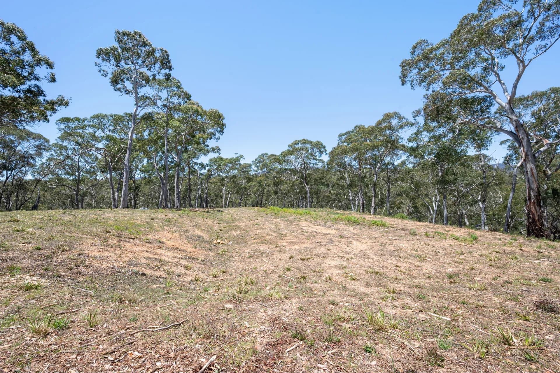 281 Charleys Forest Road, Braidwood, NSW, Mongarlowe - Thumbnail 5