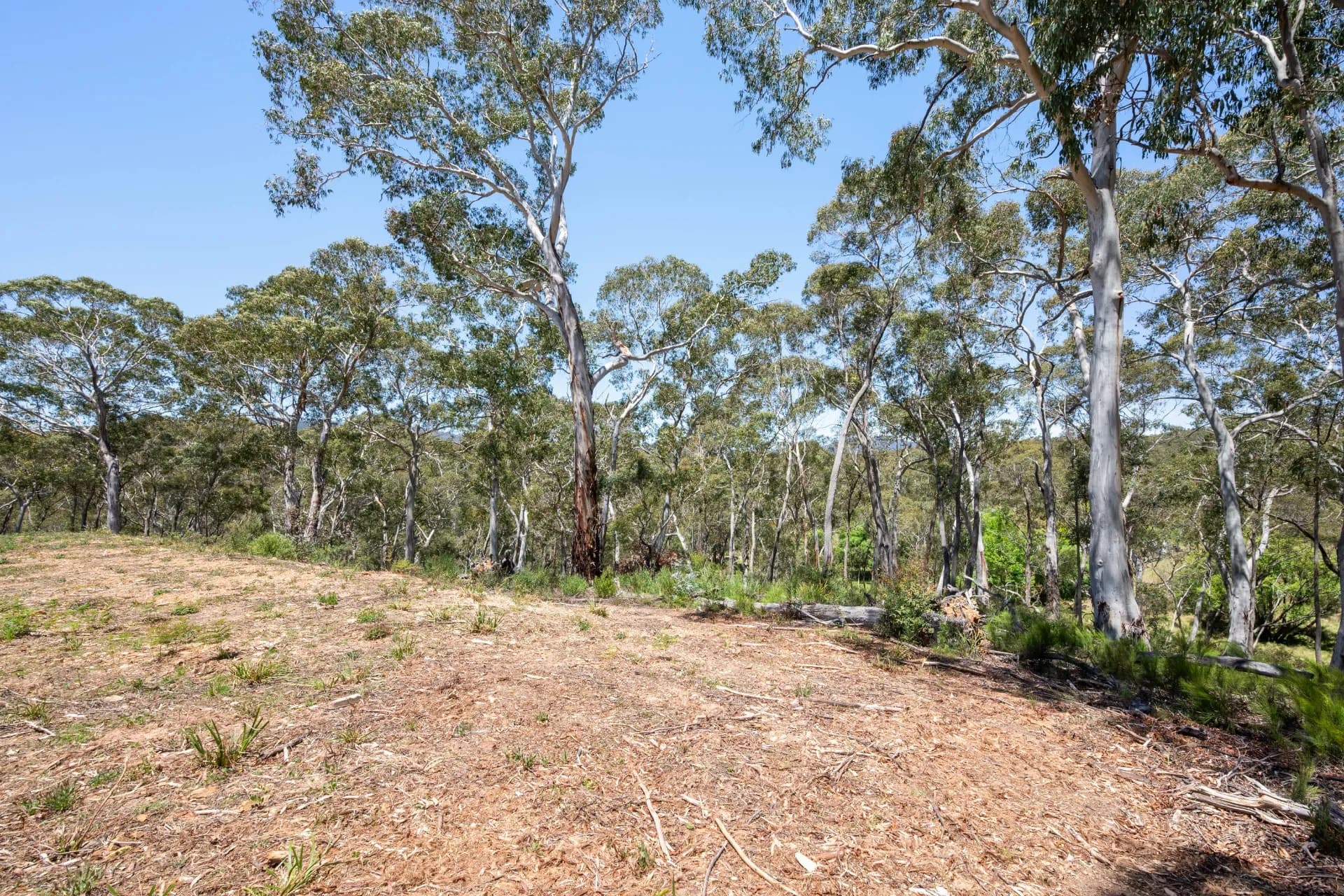 281 Charleys Forest Road, Braidwood, NSW, Mongarlowe - Thumbnail 6