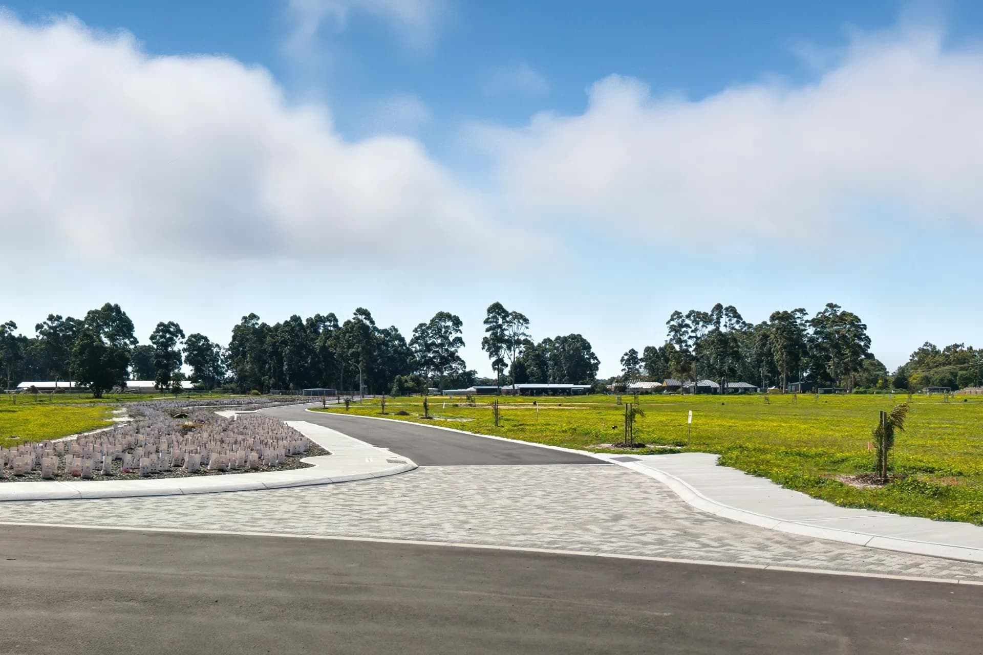 10 Drosera Street, Witchcliffe, WA, Witchcliffe - Thumbnail 6