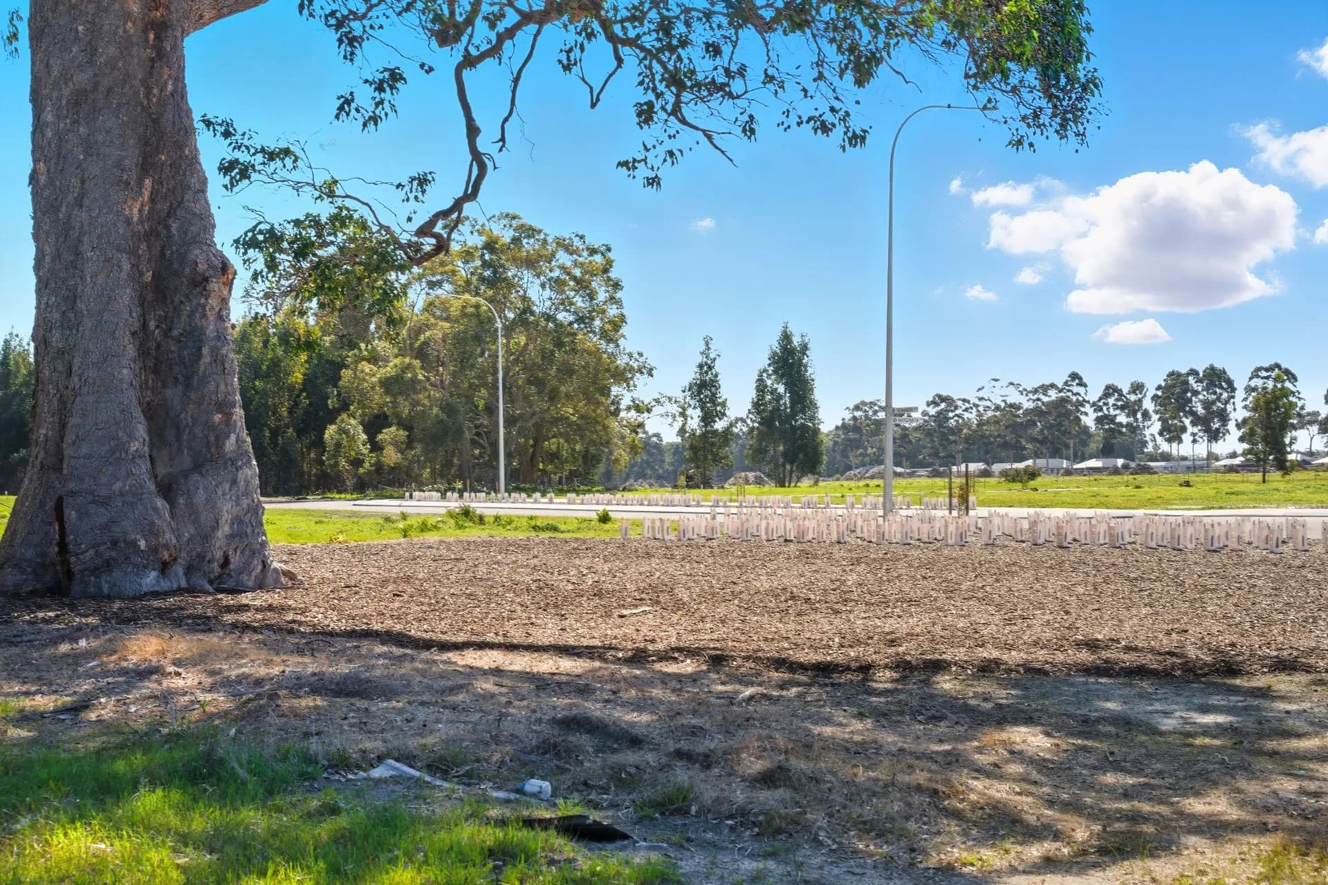 10 Drosera Street, Witchcliffe, WA, Witchcliffe - Thumbnail 7