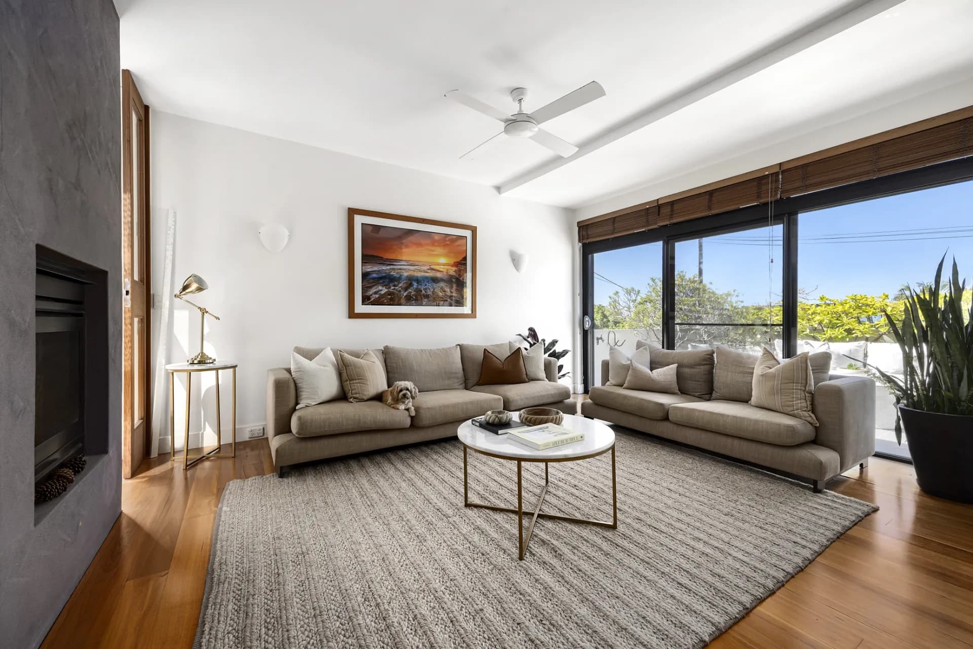 24 Barclay Street, Waverley - Thumbnail 6