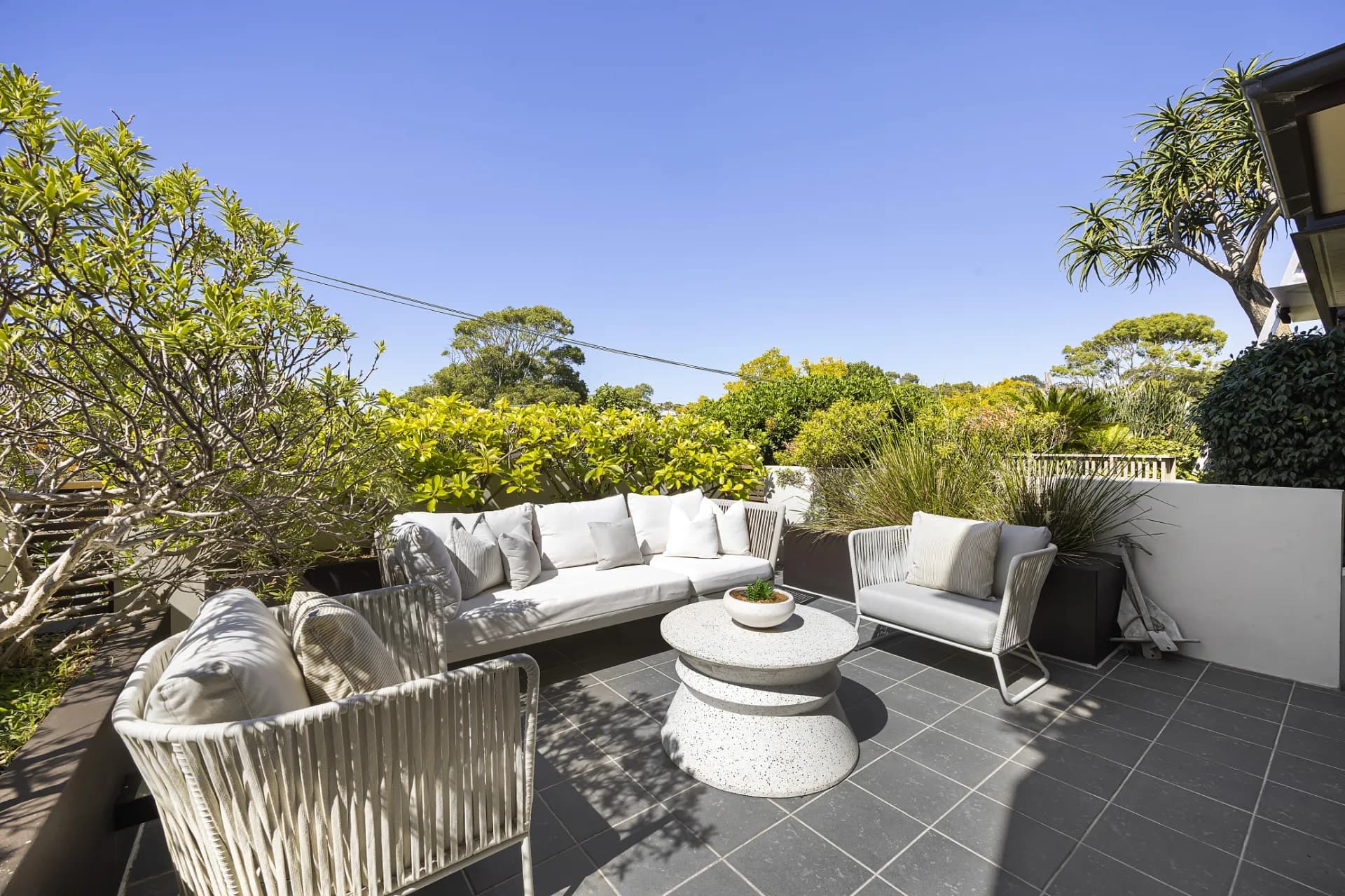 24 Barclay Street, Waverley - Thumbnail 7