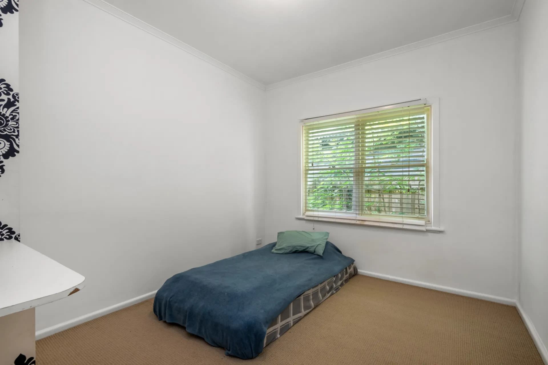 16 Myrtle Avenue, Newcomb - Thumbnail 5
