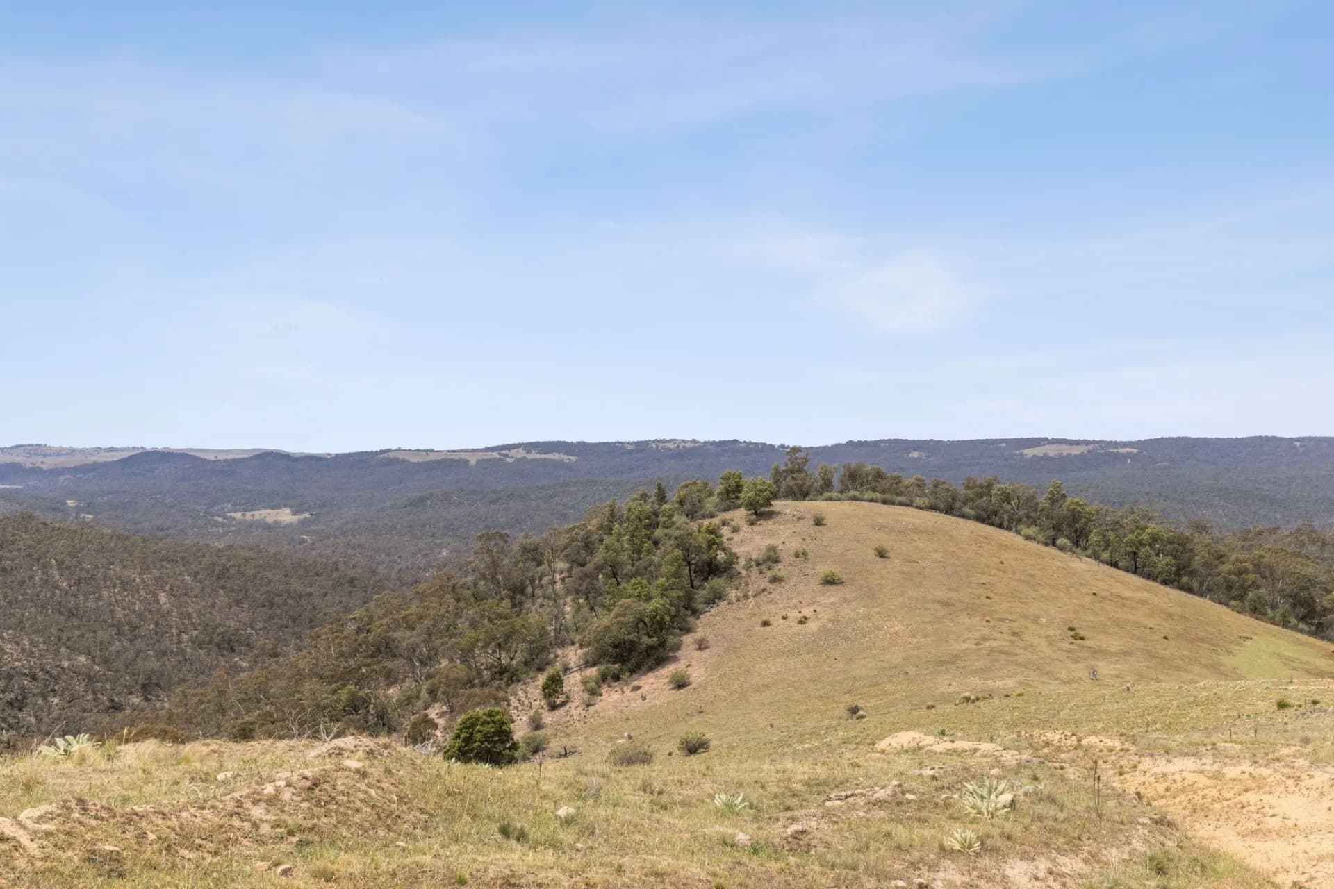 255 Barkers Lake Road, Bungarby, NSW, Bungarby - Thumbnail 6