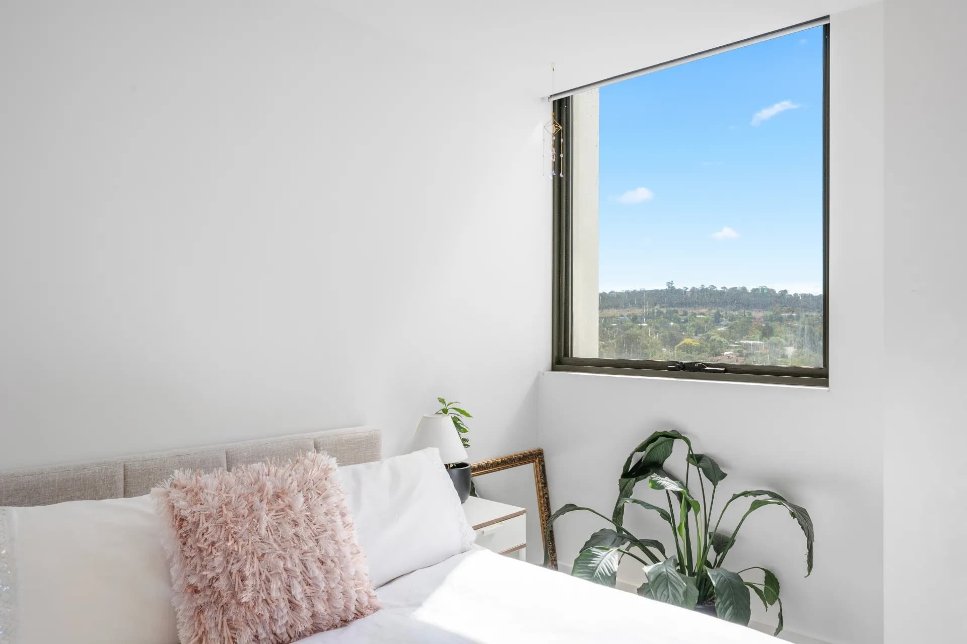 213/7 Irving  Street, Phillip, ACT, Phillip - Thumbnail 8