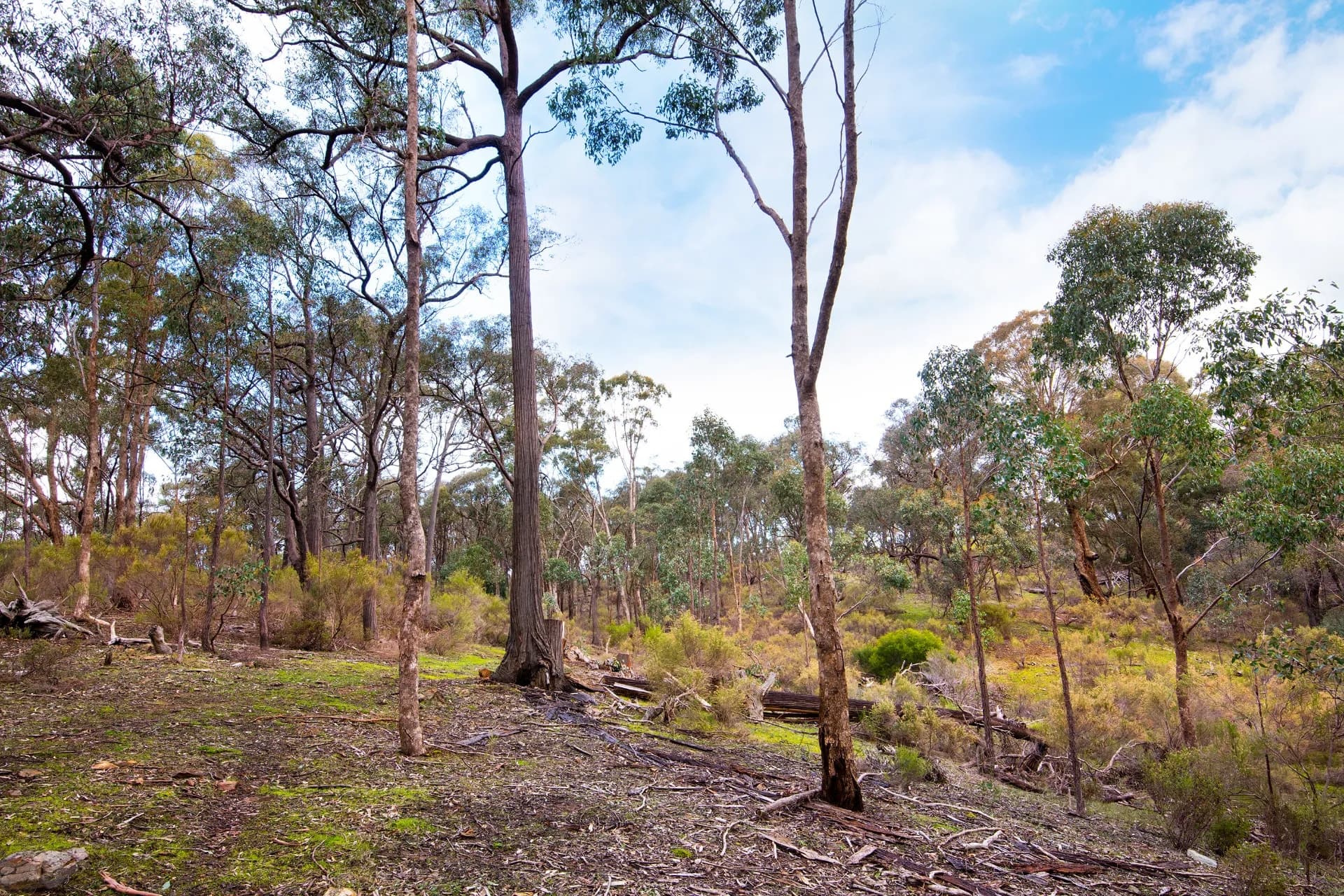 Lot 2 Huddle Road, Sedgwick, VIC, Sedgwick - Thumbnail 2