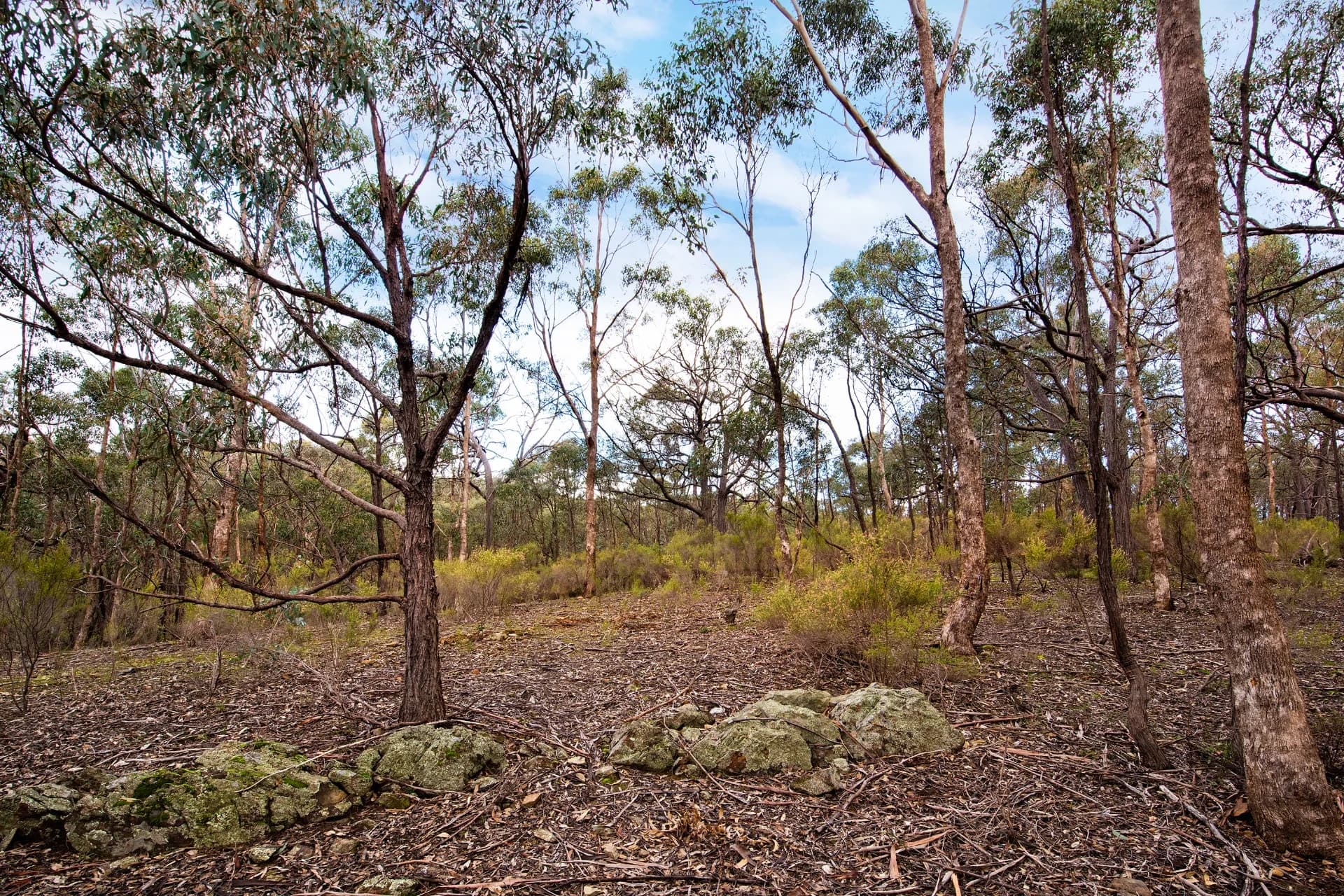 Lot 2 Huddle Road, Sedgwick, VIC, Sedgwick - Thumbnail 3