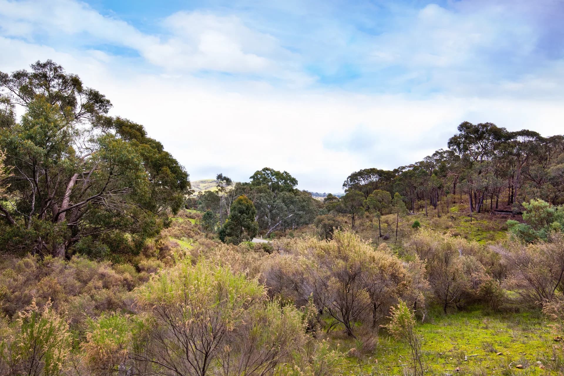 Lot 2 Huddle Road, Sedgwick, VIC, Sedgwick - Thumbnail 4