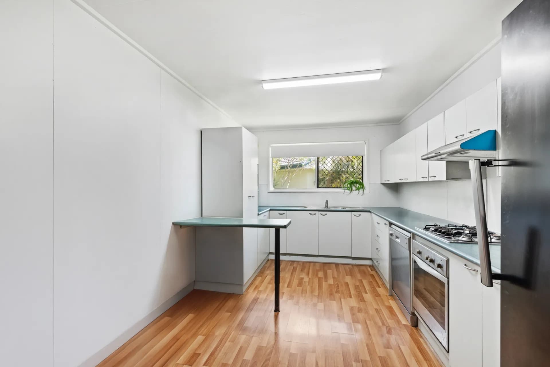18 Bellis Street, Daisy Hill - Thumbnail 4