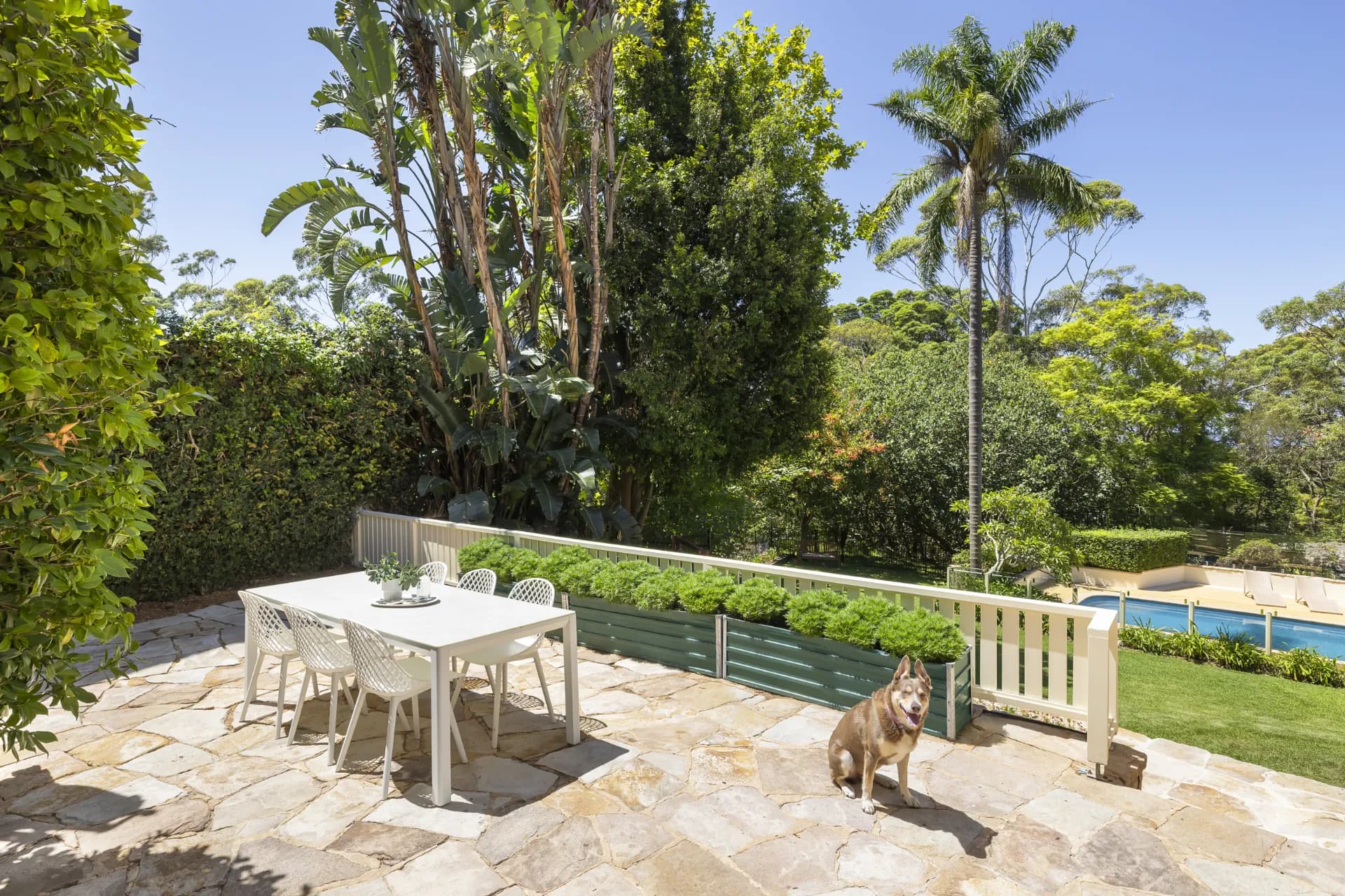 9 Kywong Road, Elanora Heights - Thumbnail 3