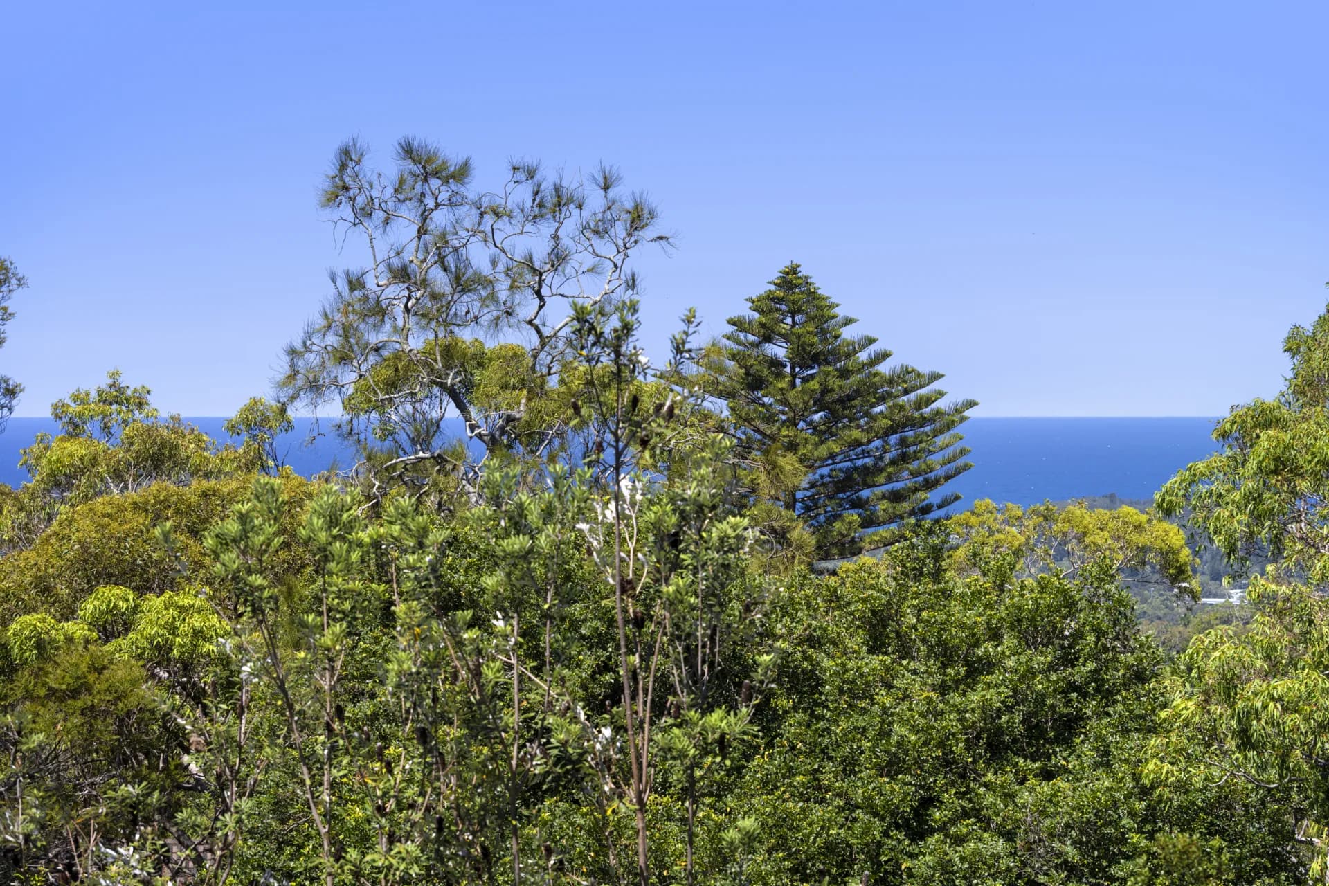9 Kywong Road, Elanora Heights - Thumbnail 5