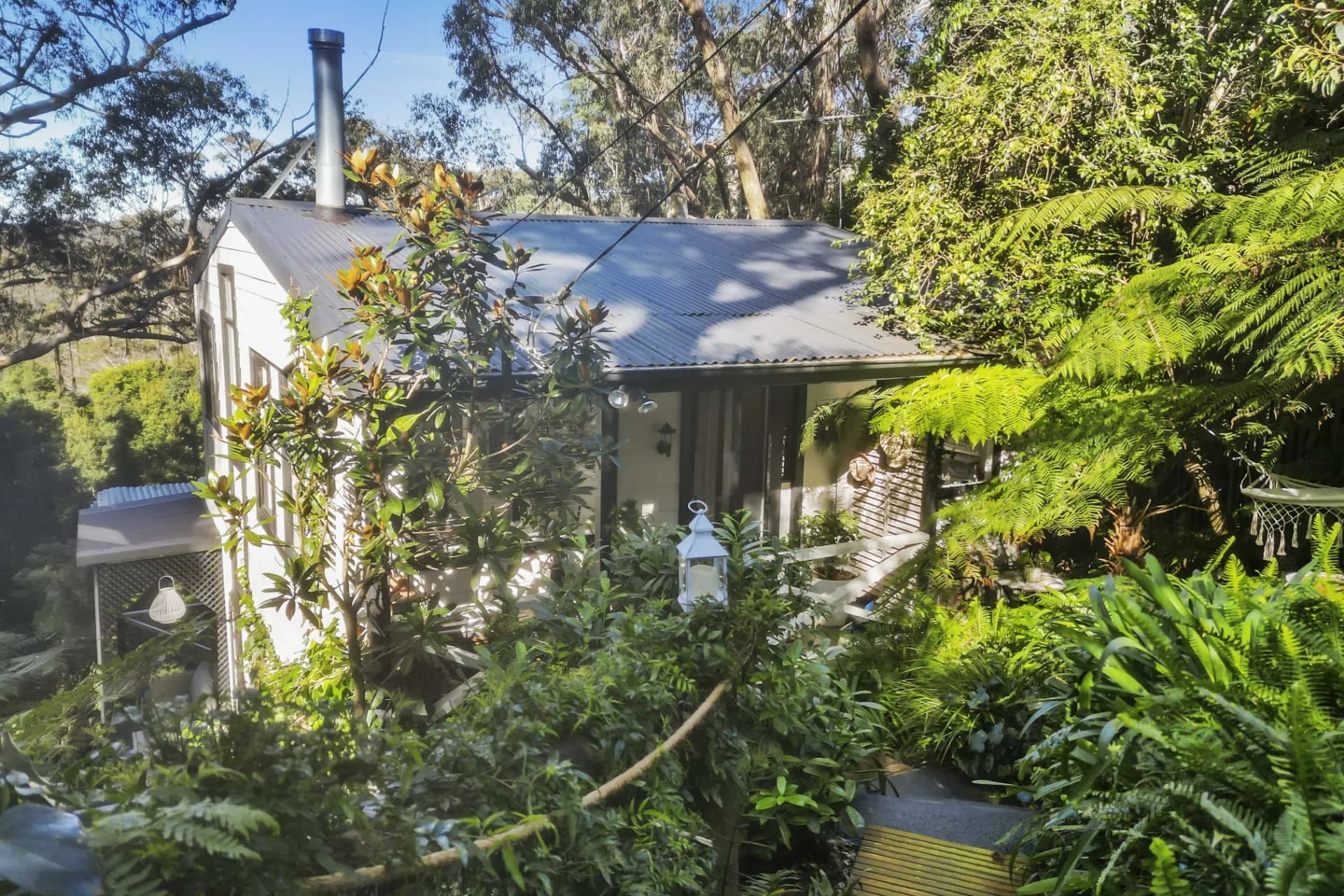 87 Henderson Road, Wentworth Falls - Thumbnail 6