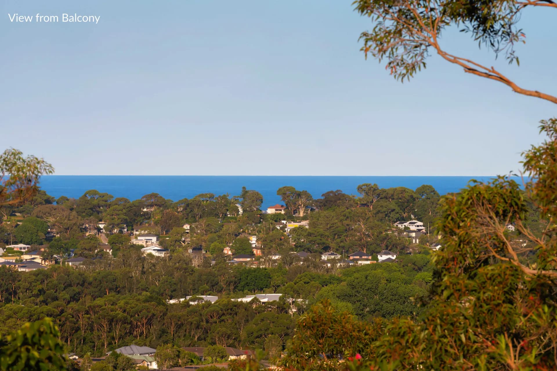 19 Wesley Street, Elanora Heights - Thumbnail 4