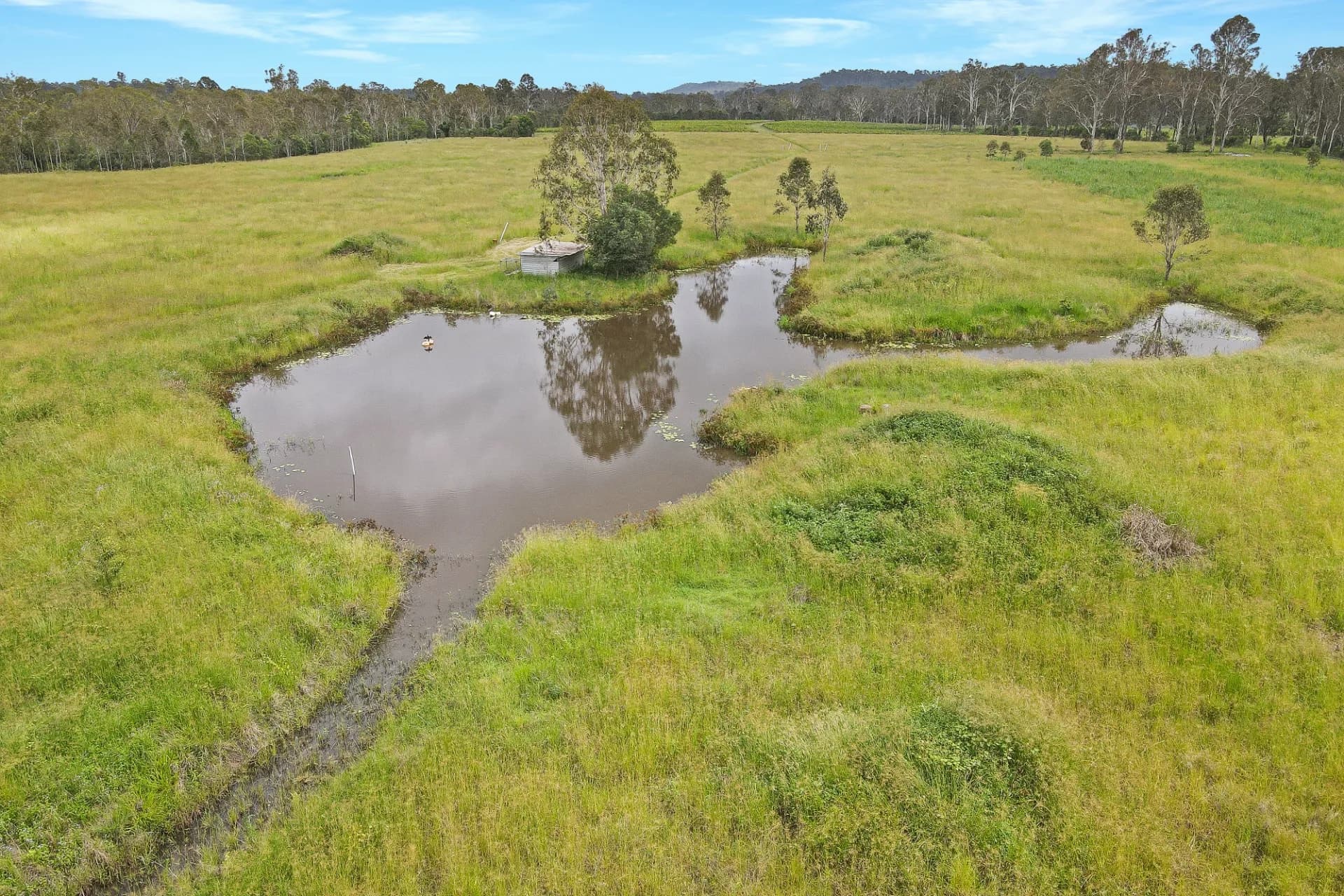 Lot 126, 288 Blowers Road, Munna Creek, QLD, Munna Creek - Thumbnail 2