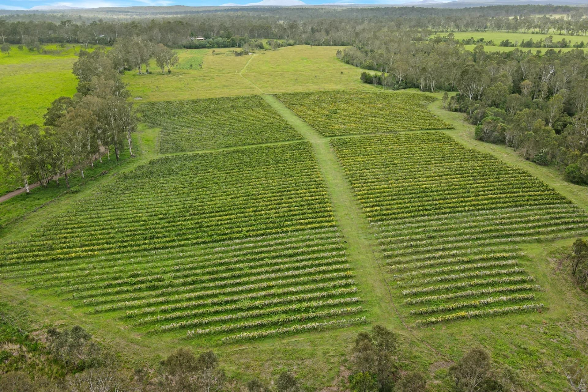 Lot 126, 288 Blowers Road, Munna Creek, QLD, Munna Creek - Thumbnail 5