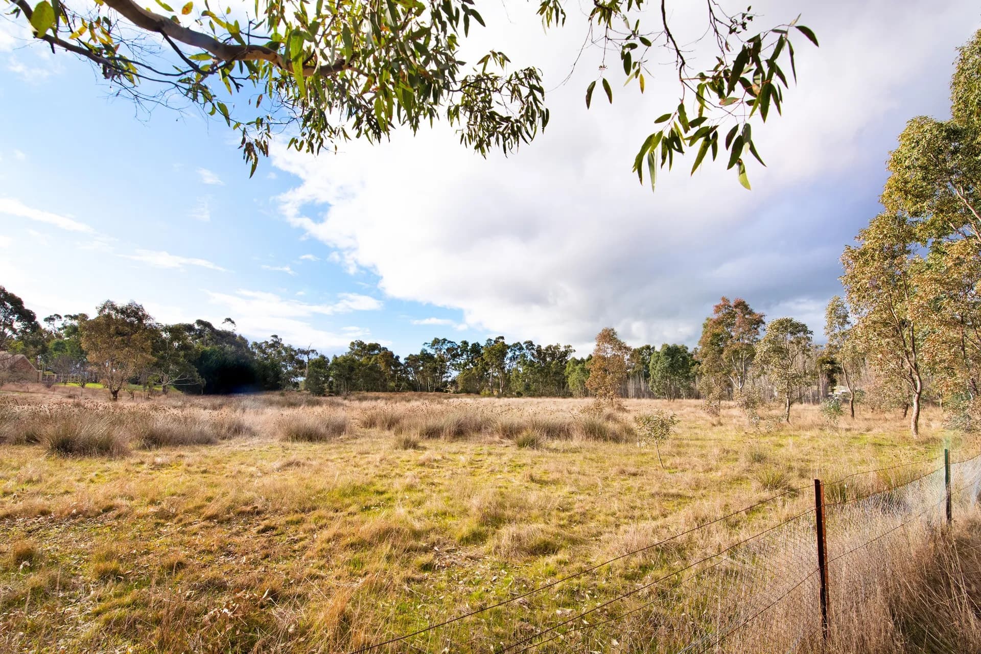 91 Pollards Road, Elphinstone, VIC, Elphinstone - Thumbnail 2