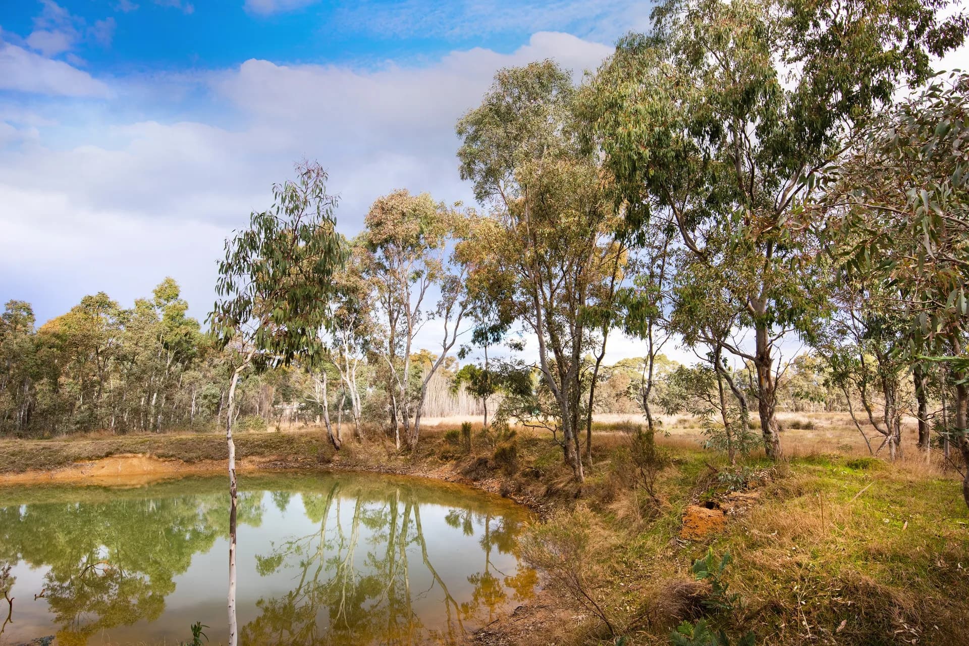 91 Pollards Road, Elphinstone, VIC, Elphinstone - Thumbnail 3